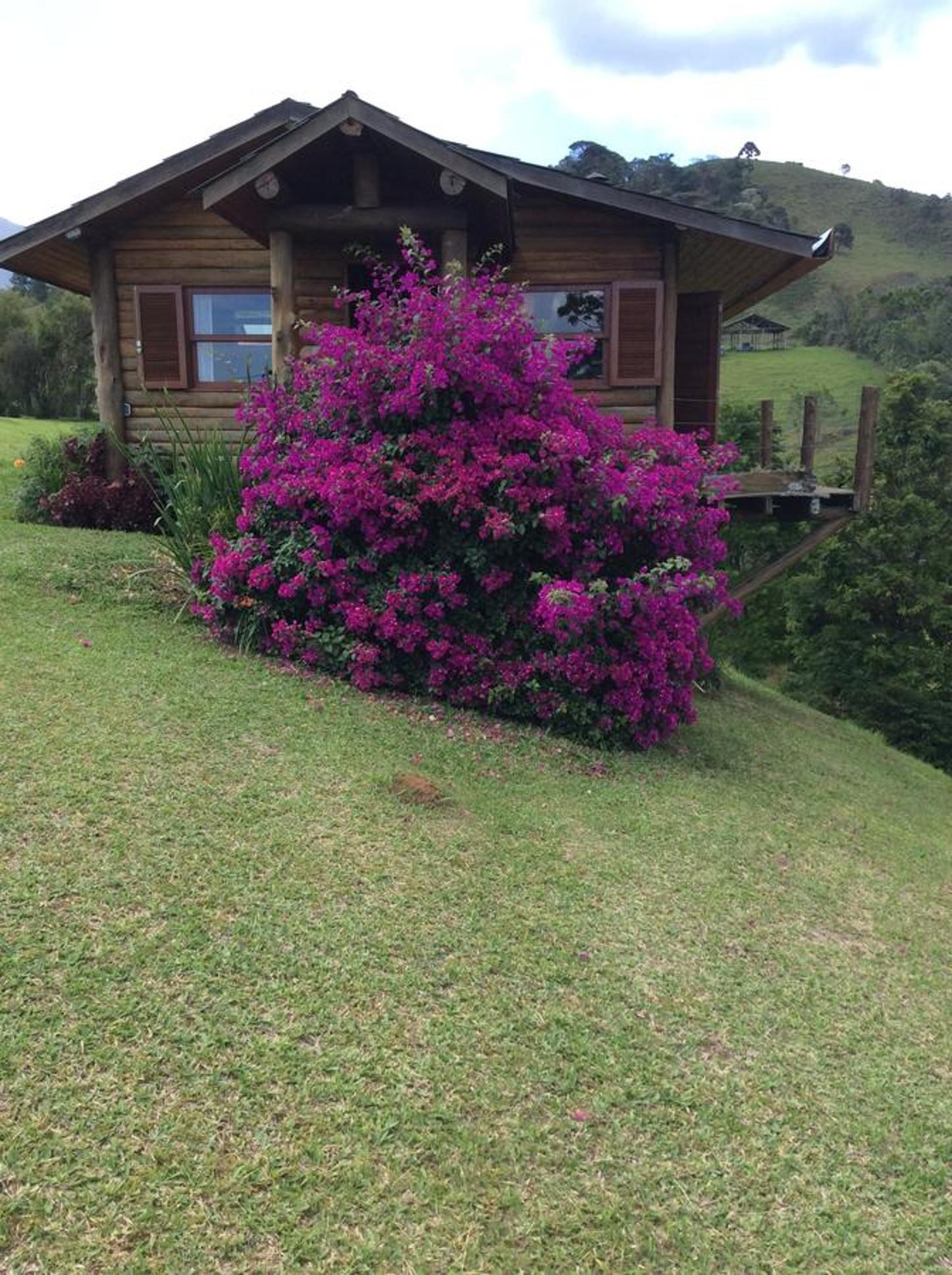 Chalet photo 2