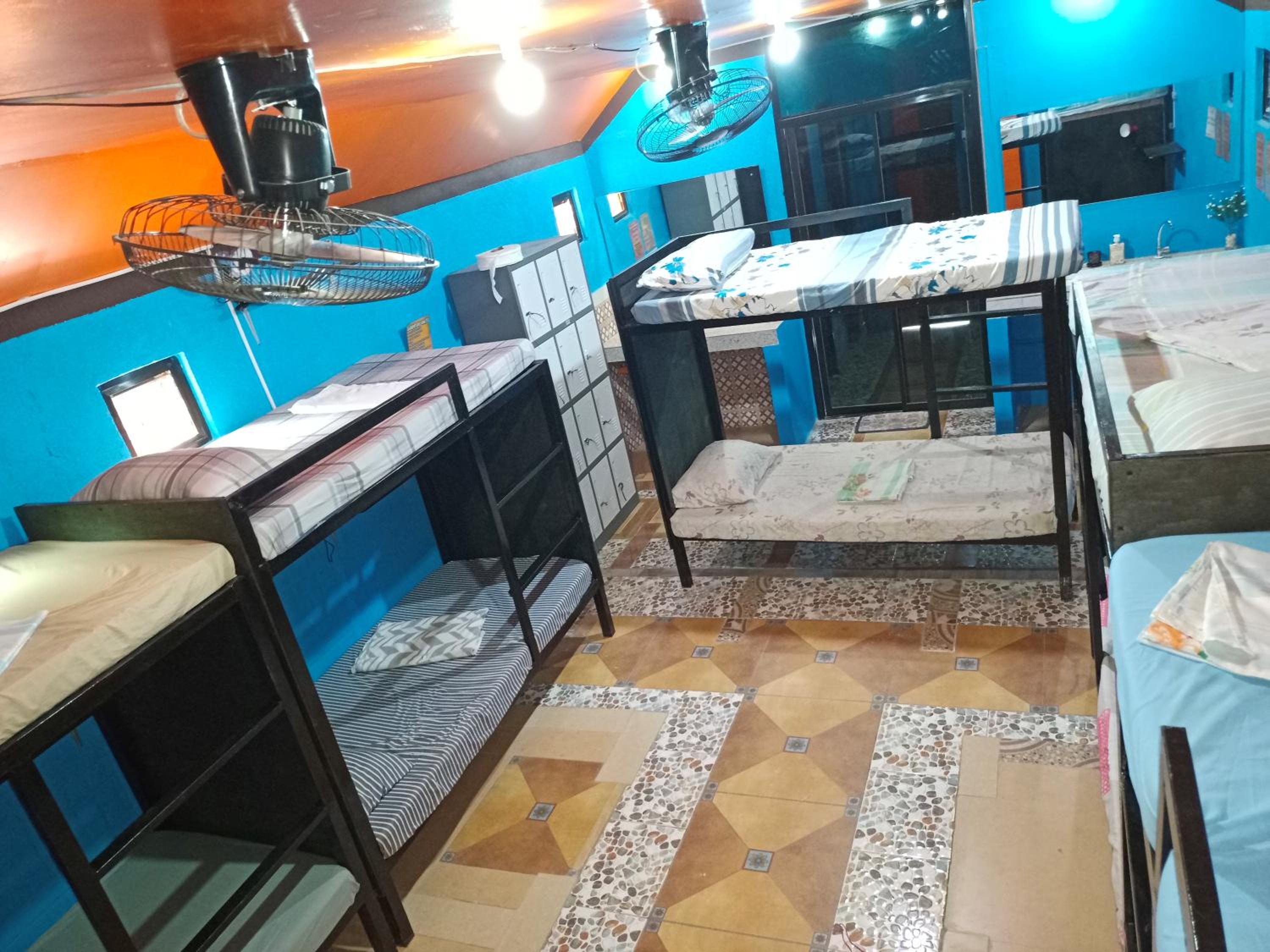 Single Bed in 10-Bed Dormitory Room photo 1