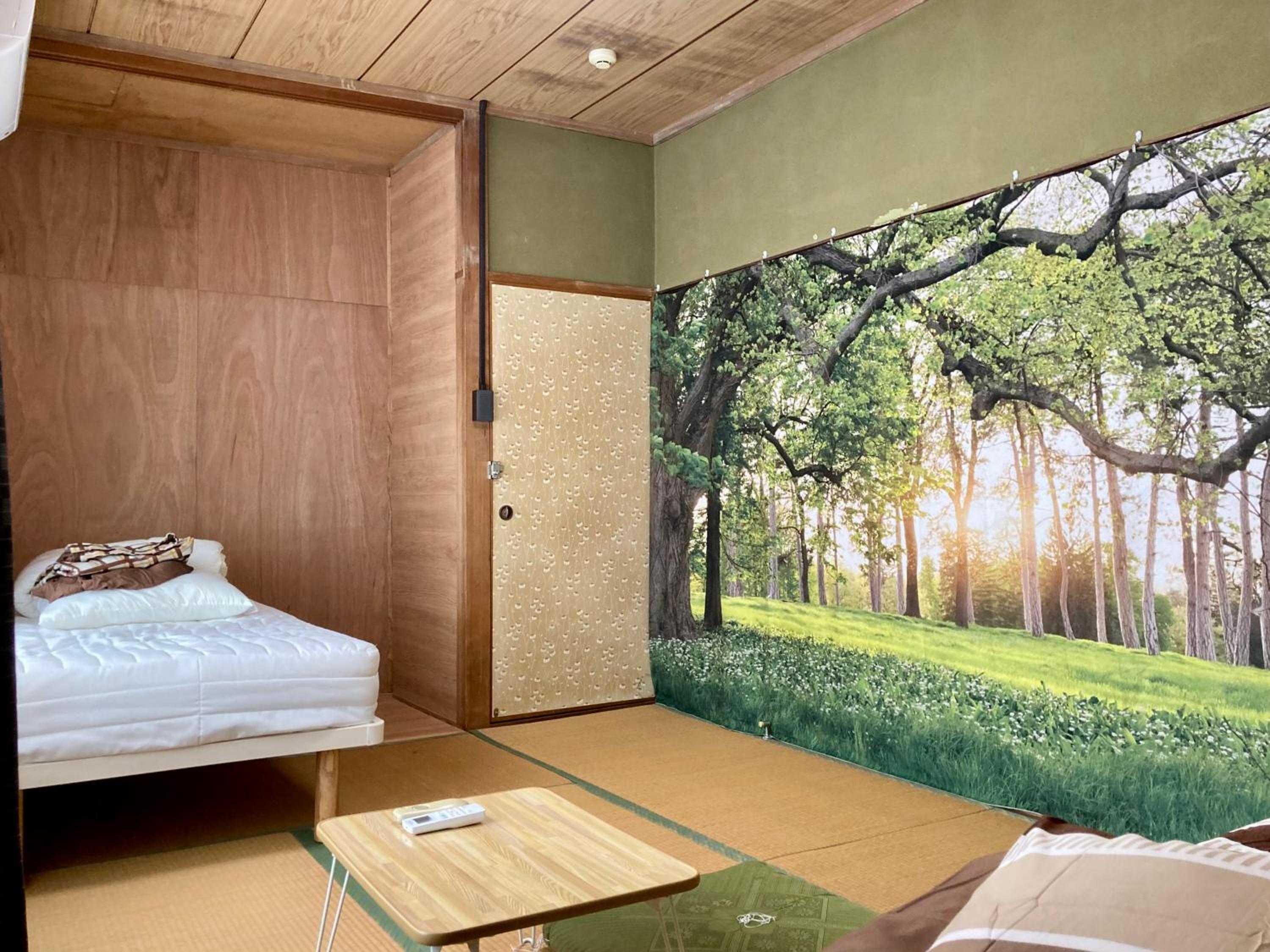 Single Bed in Female Dormitory Room photo 3