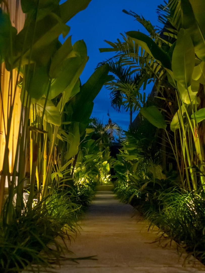 Villa AIR photo 3