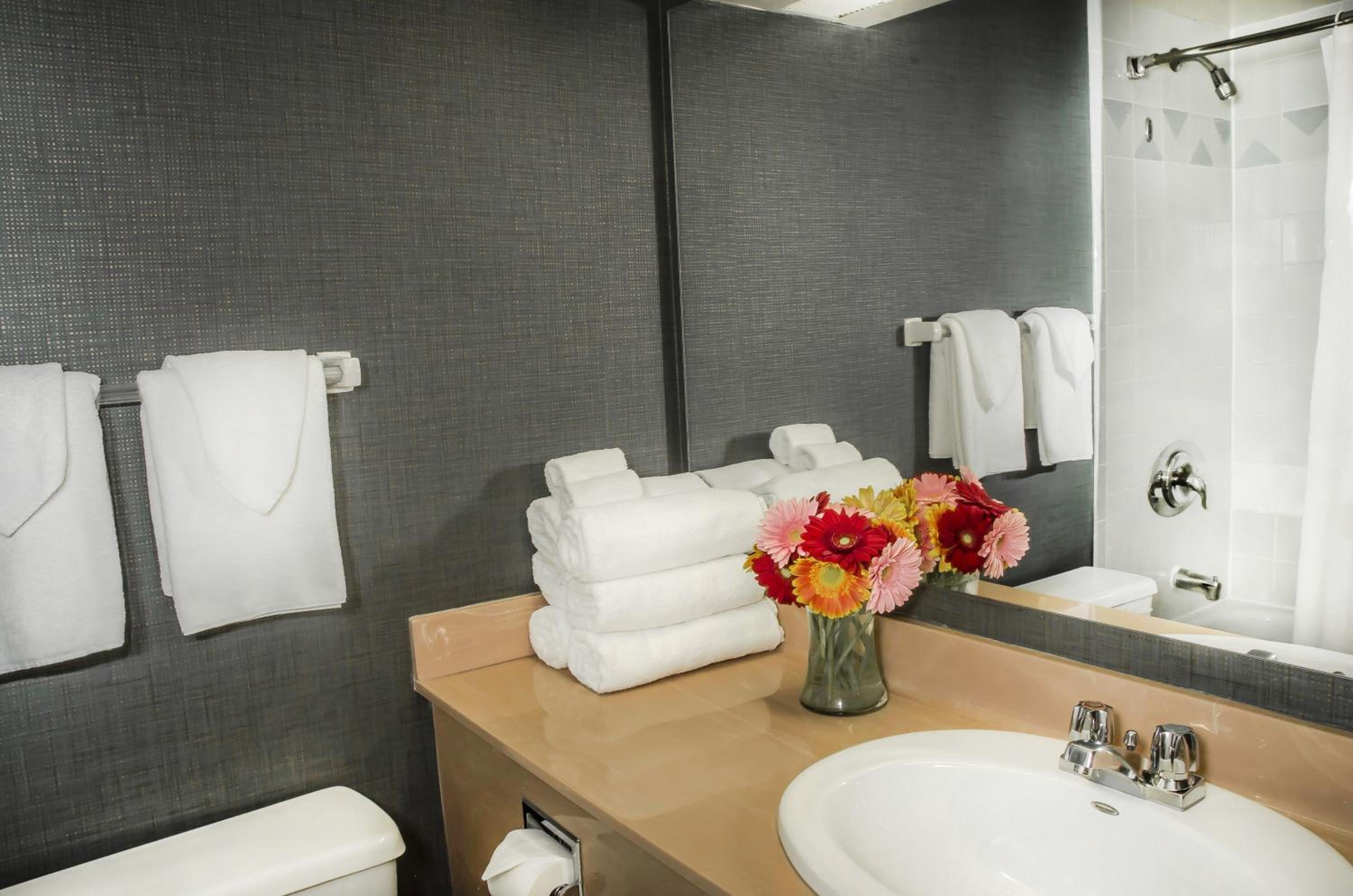 Superior One-Bedroom Suite