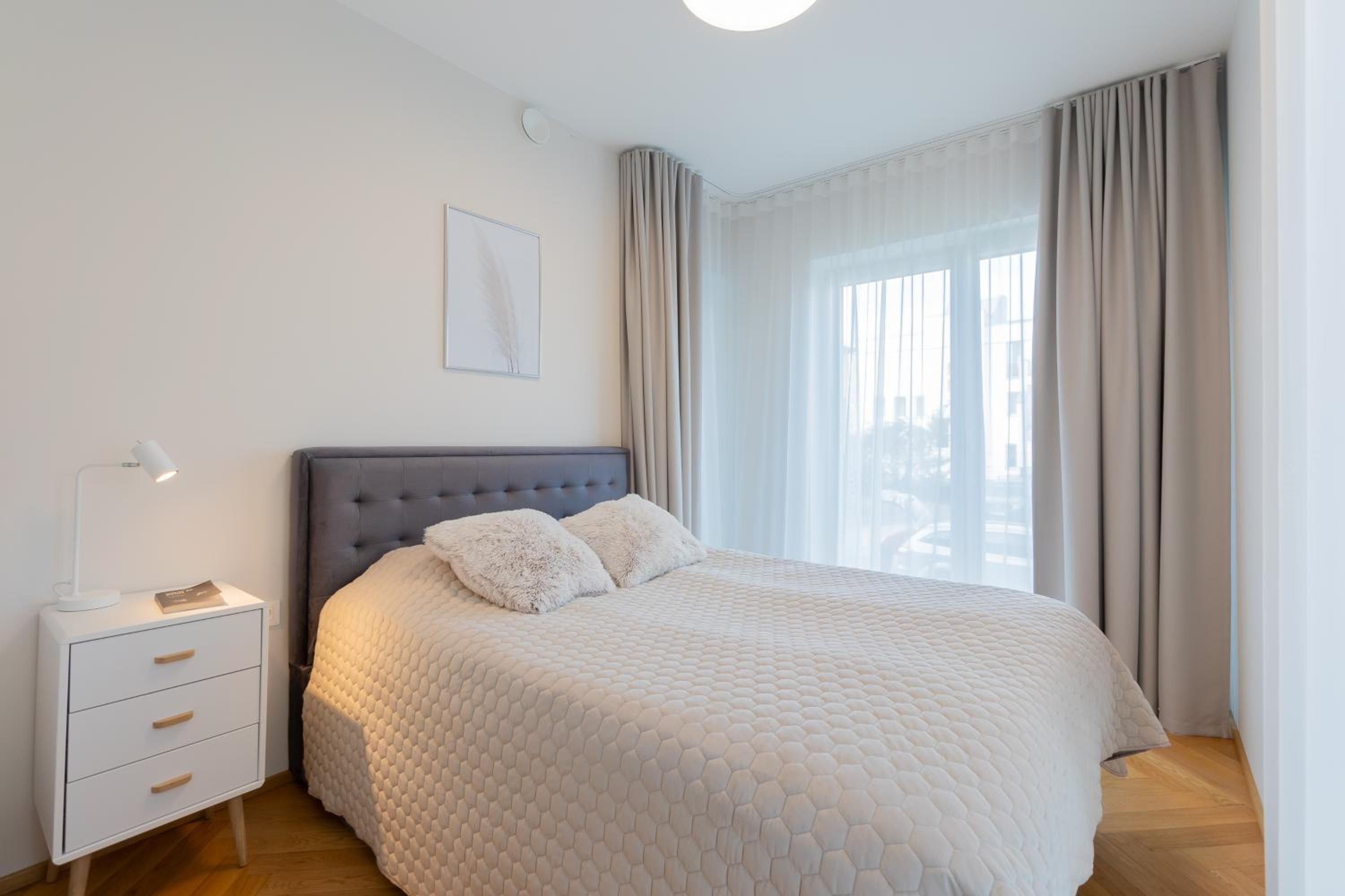 One-Bedroom Apartment photo 3