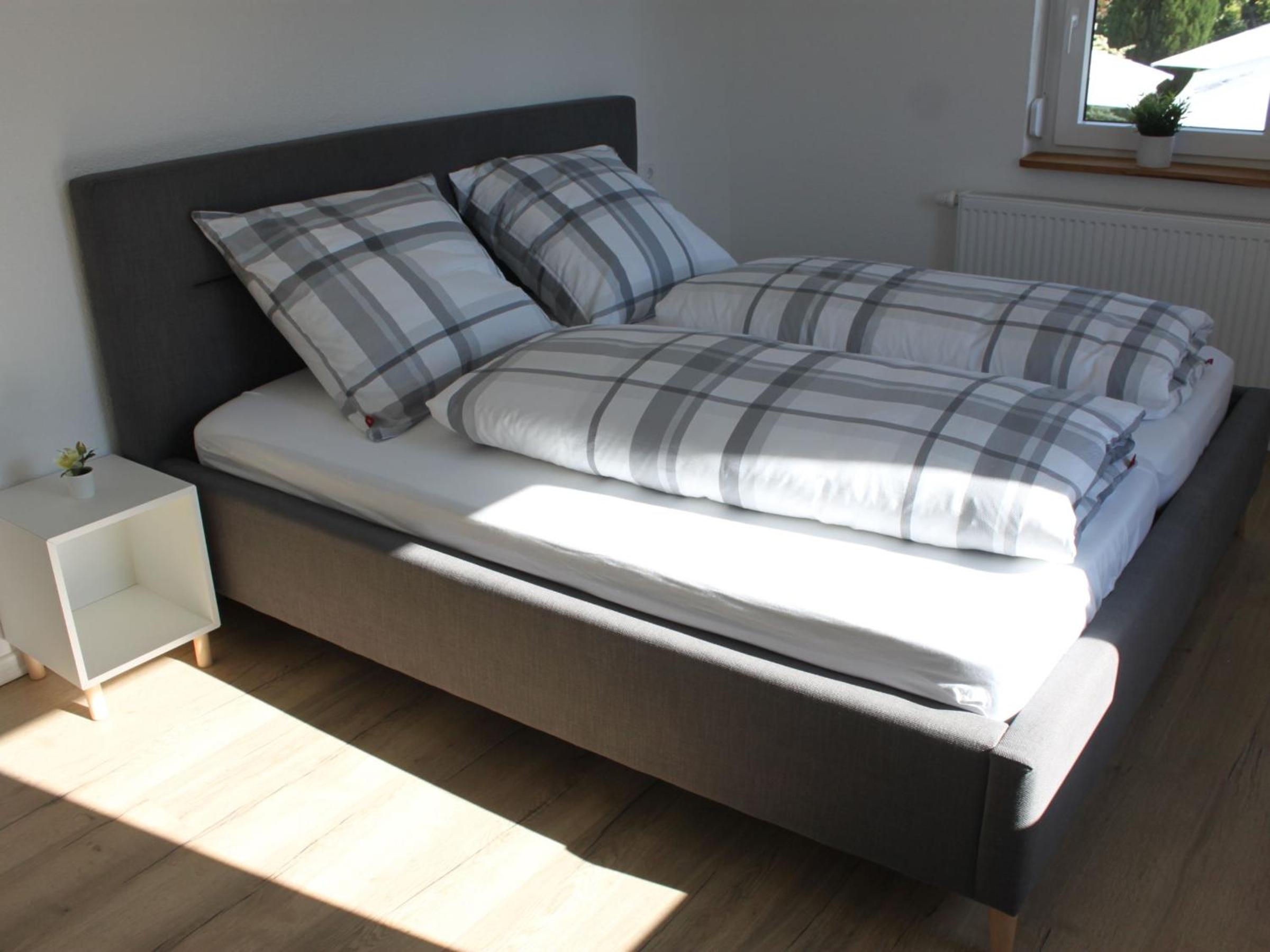 Superior One-Bedroom Apartment with Balcony photo 2