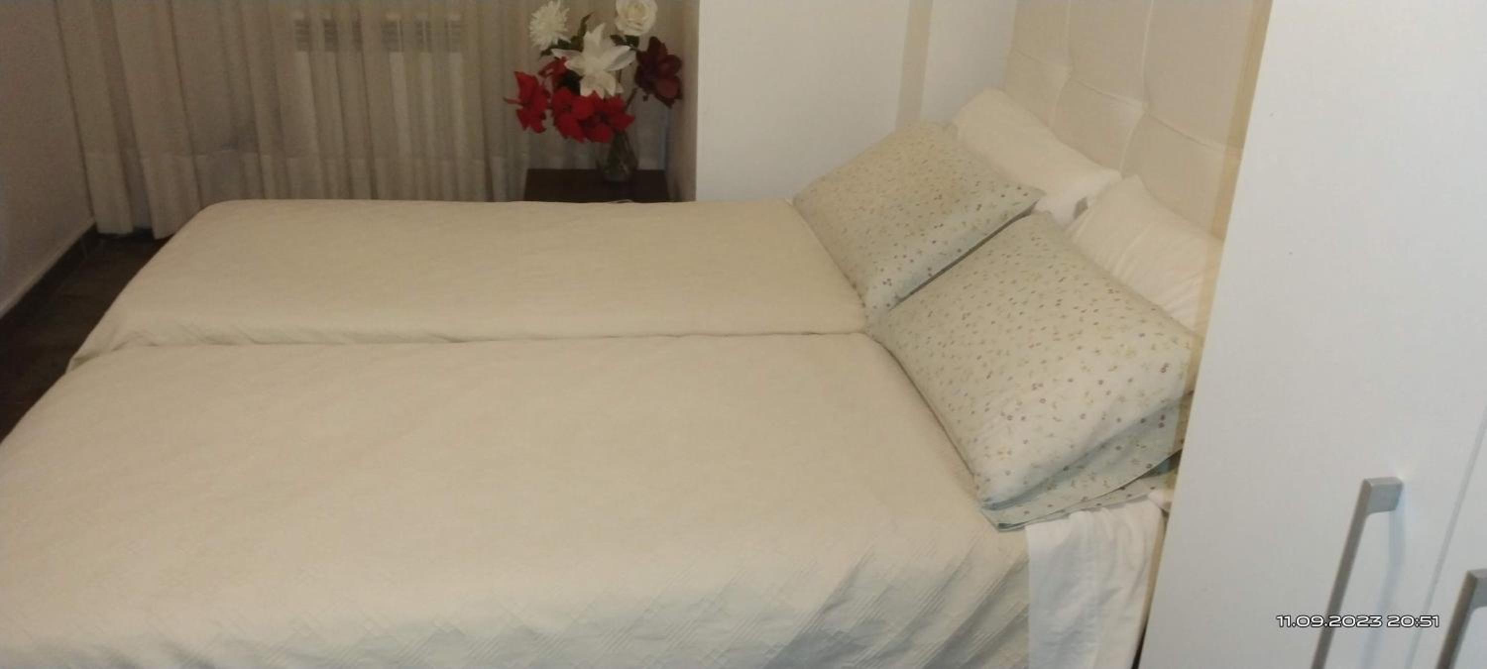 Twin Room photo 3