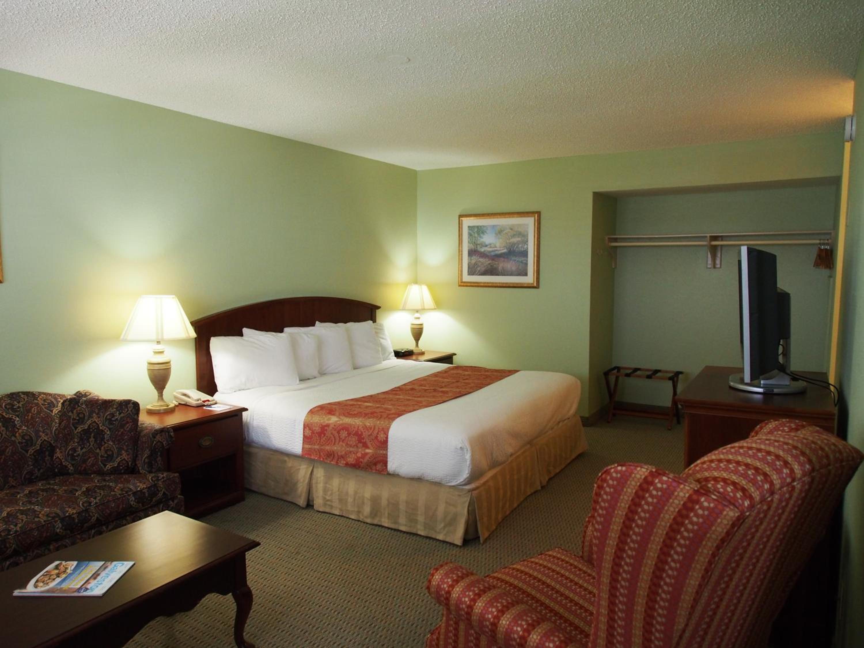 King Room - Non-Smoking Pet Friendly - Photo 1