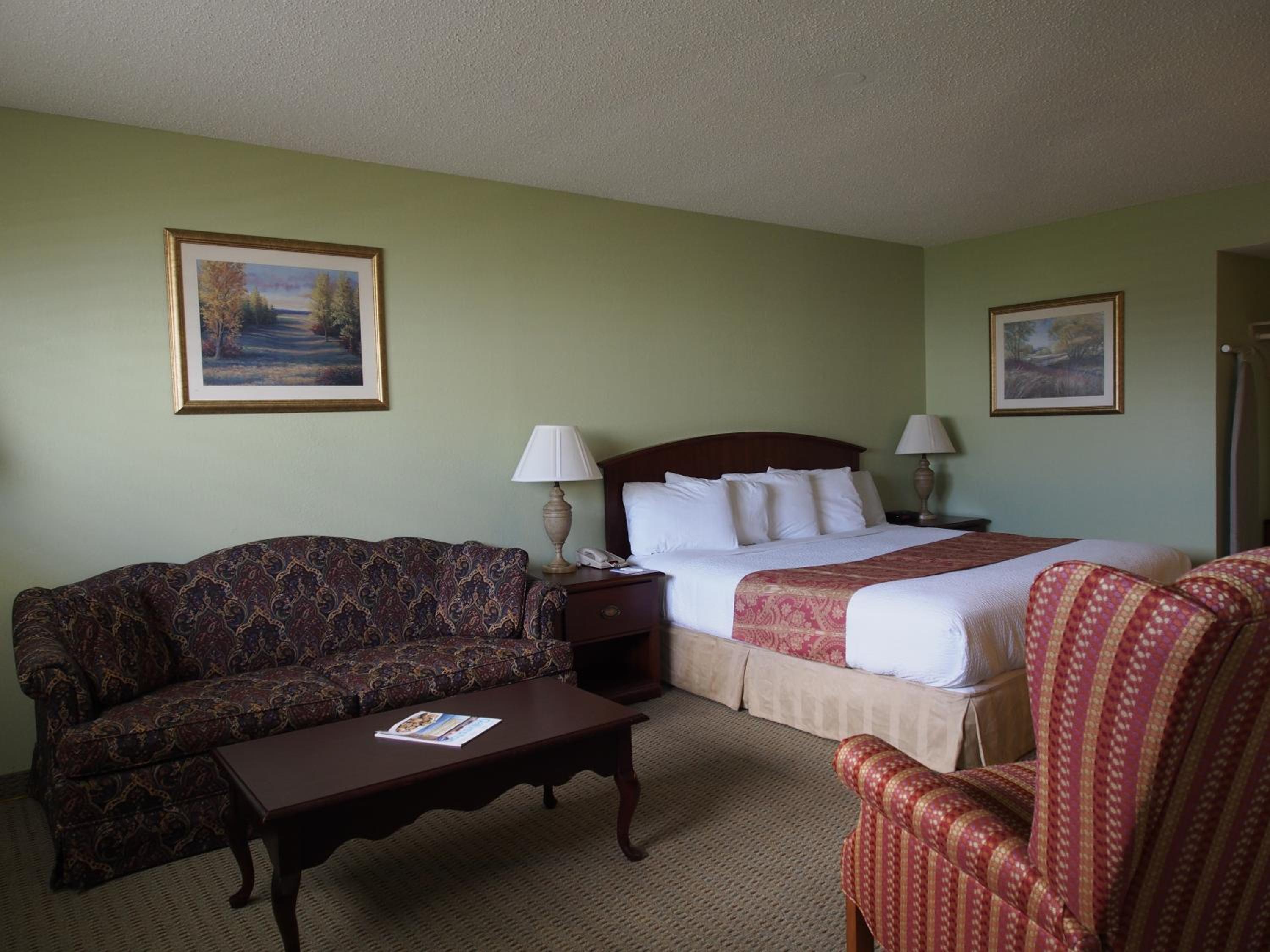 King Room - Non-Smoking Pet Friendly - Photo 3