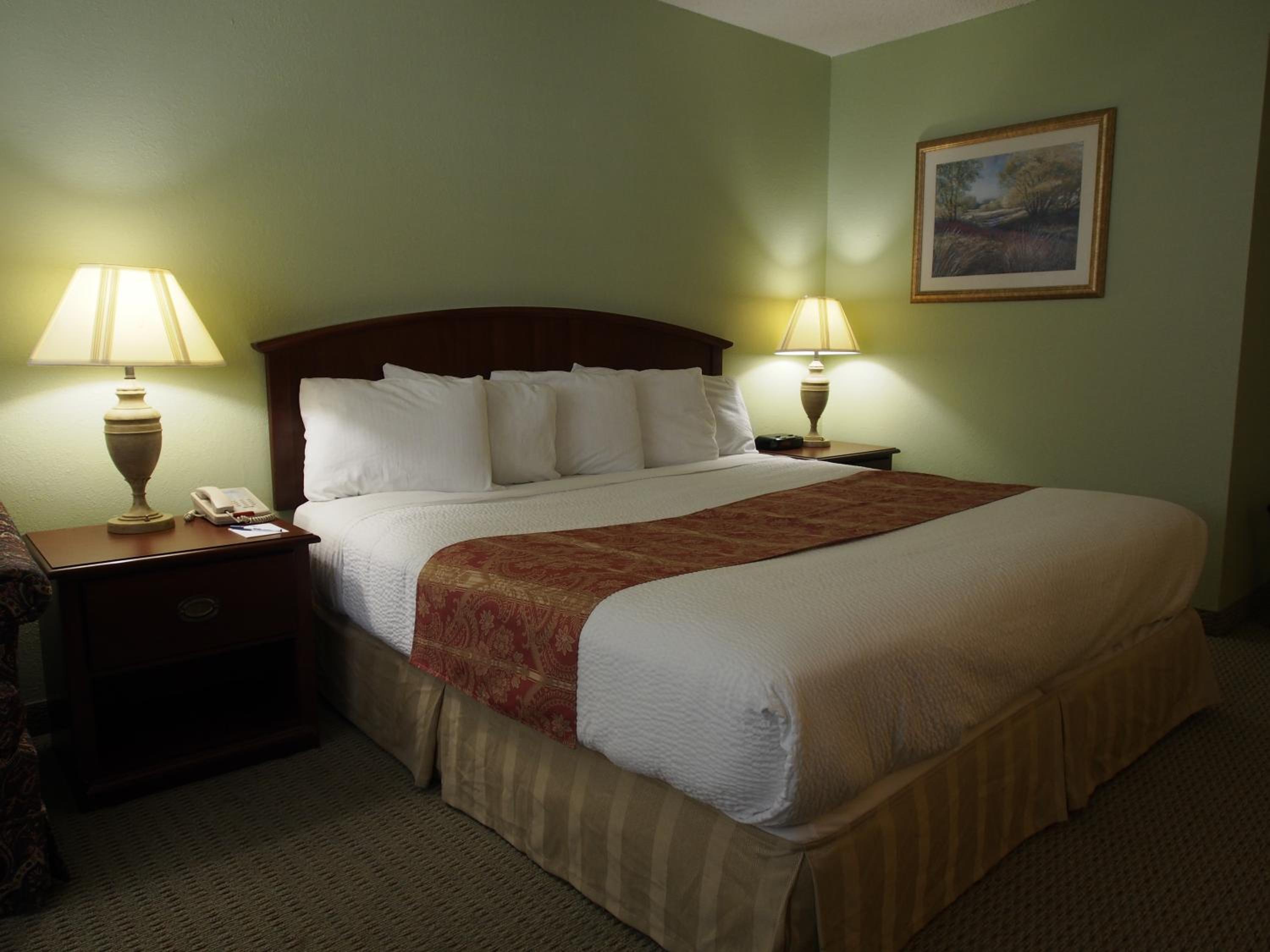 King Room - Non-Smoking Pet Friendly - Photo 2