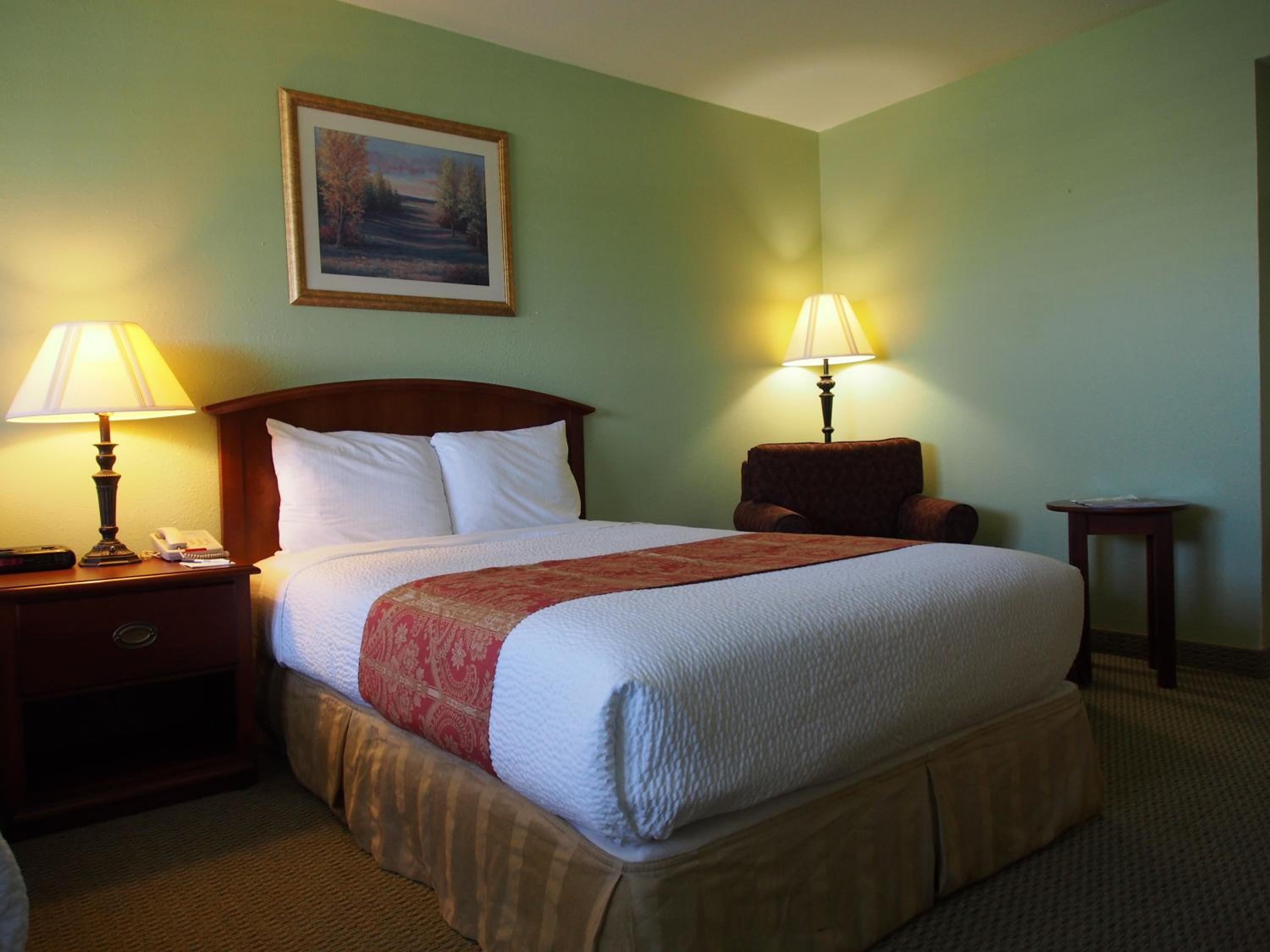 Standard Double Room Pet Friendly