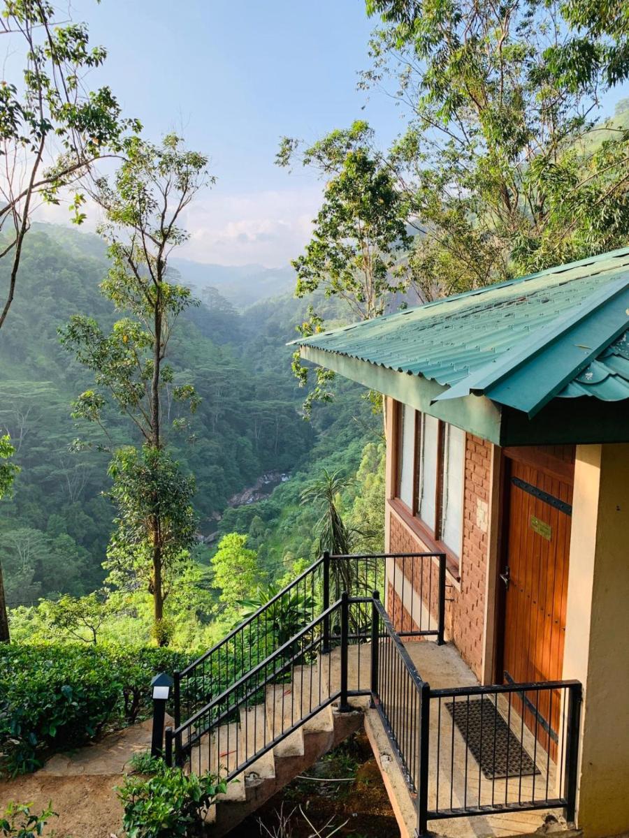 Suite with River View photo 1