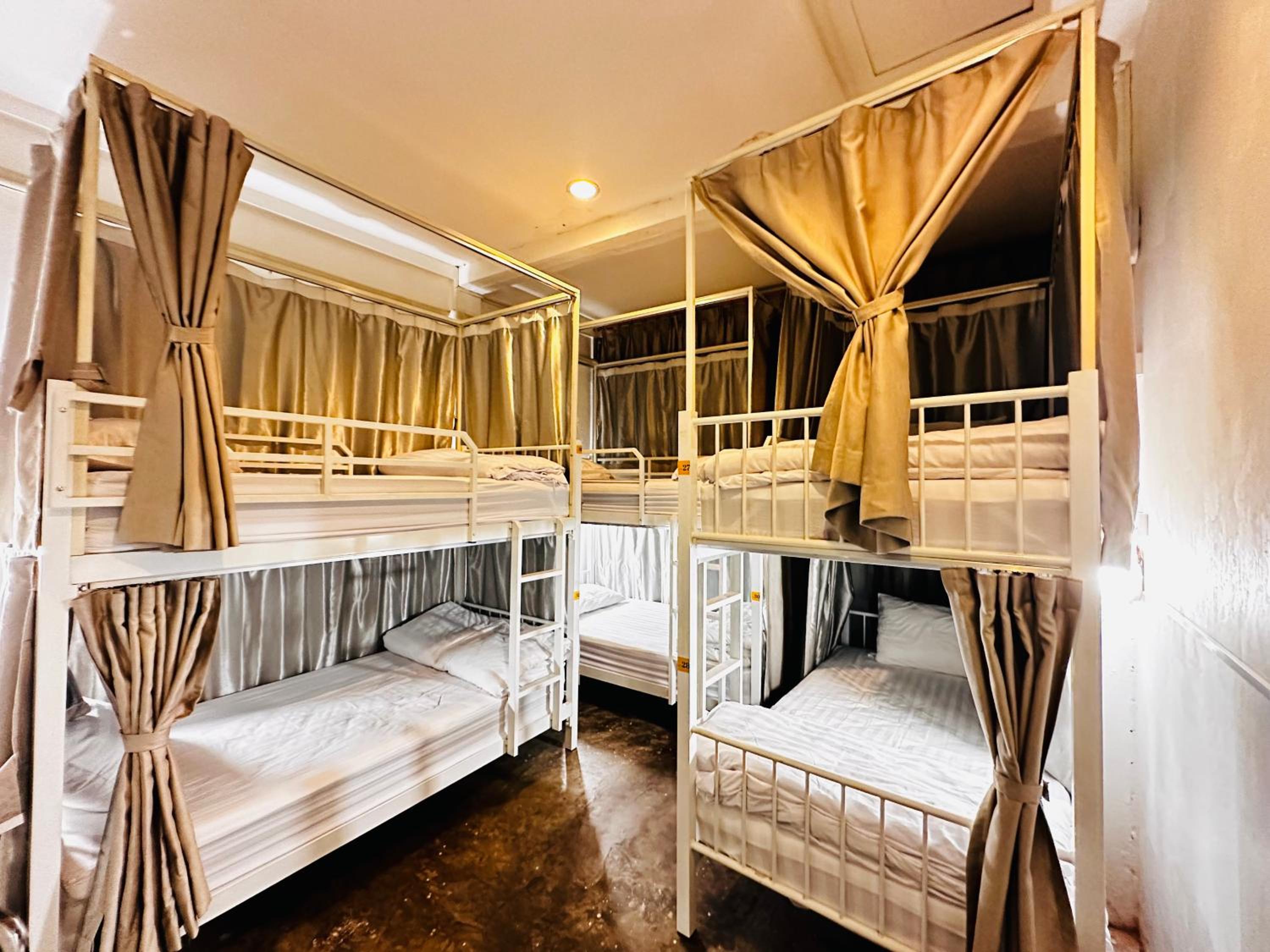 Bunk Bed in Mixed Dormitory Room photo 3