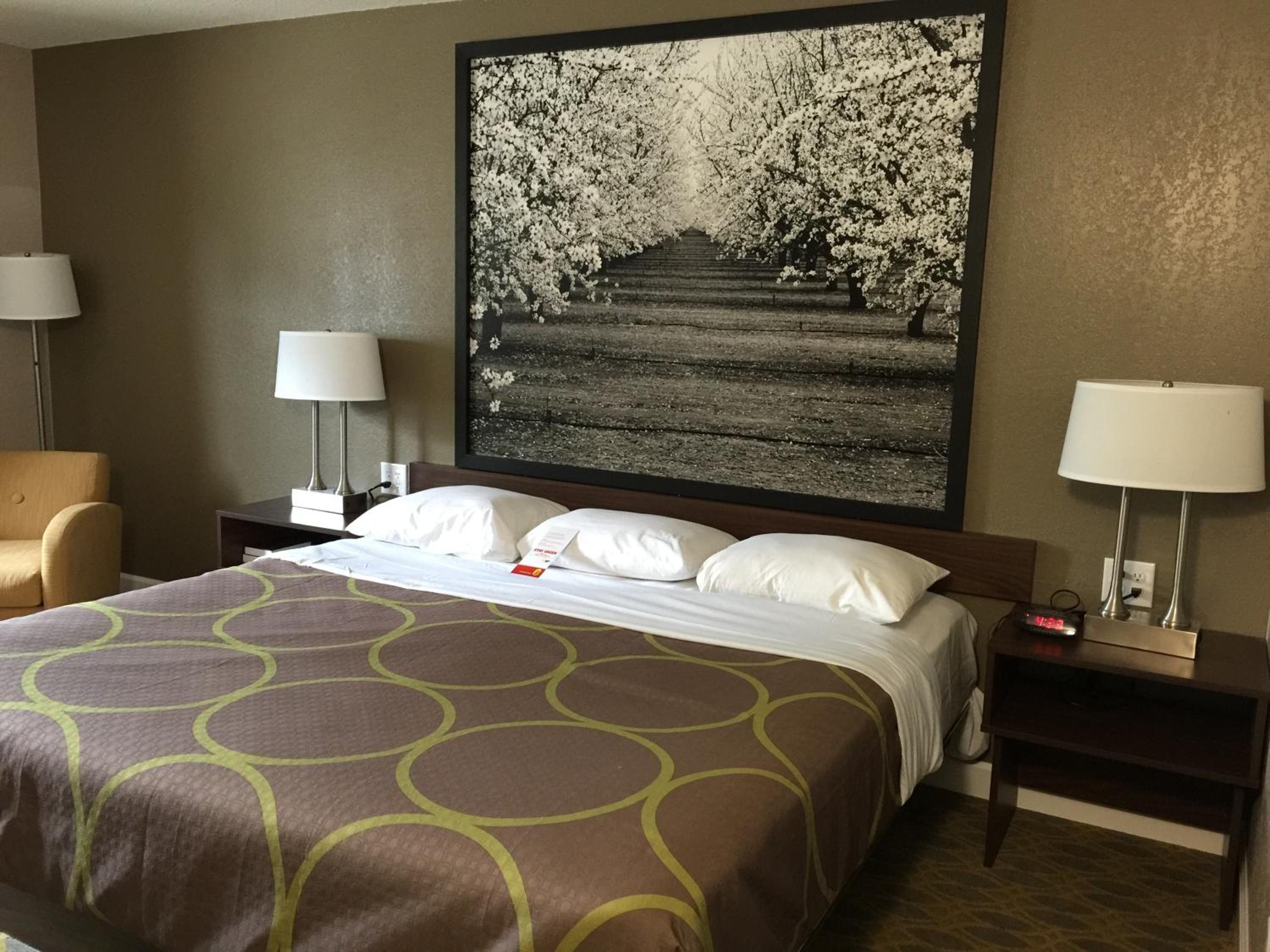 1 Queen Bed, Mobility Accessible Room, Bathtub W/ Grab Bars, Non-Smoking photo 2