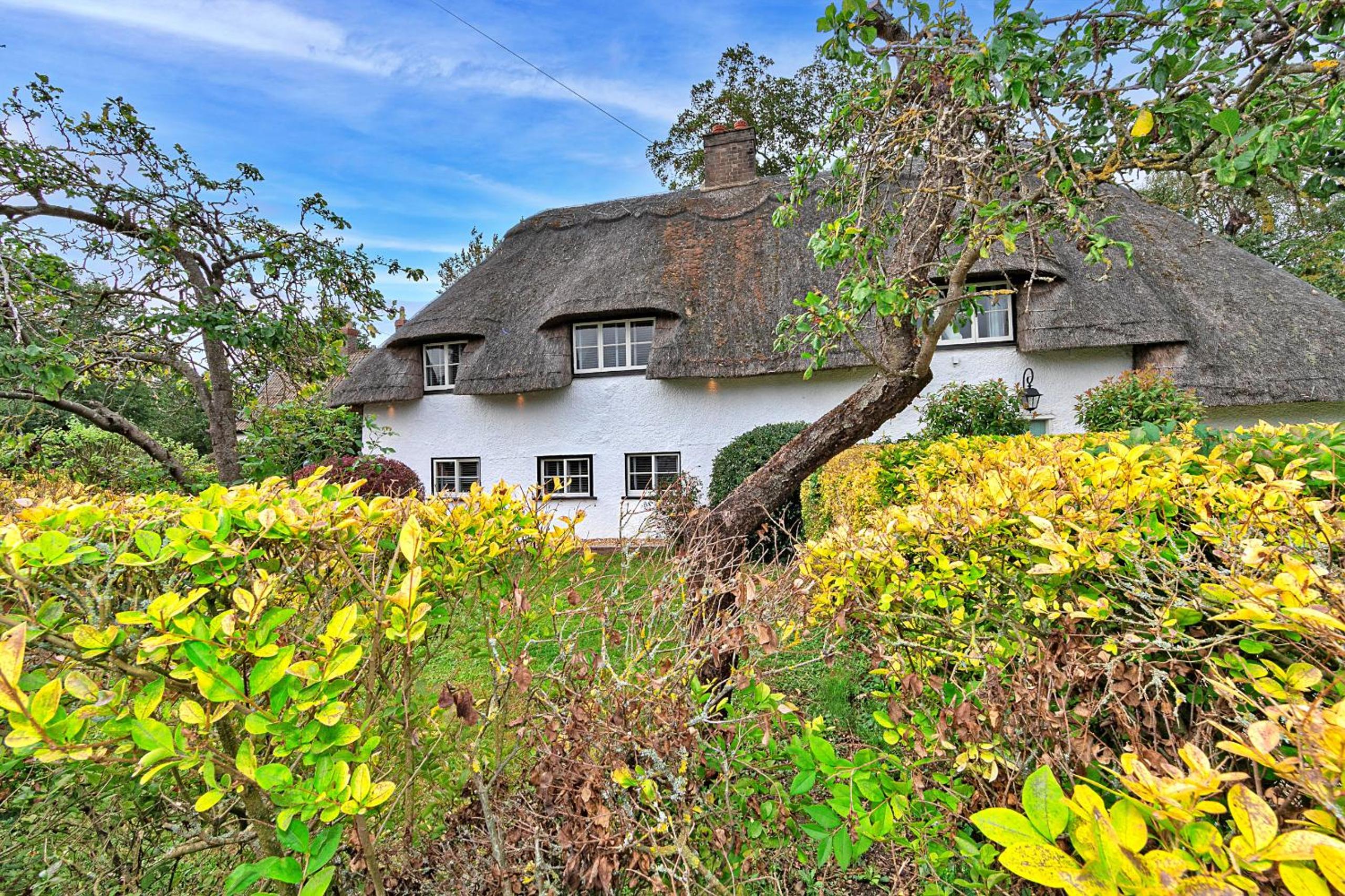 Three-Bedroom House photo 2