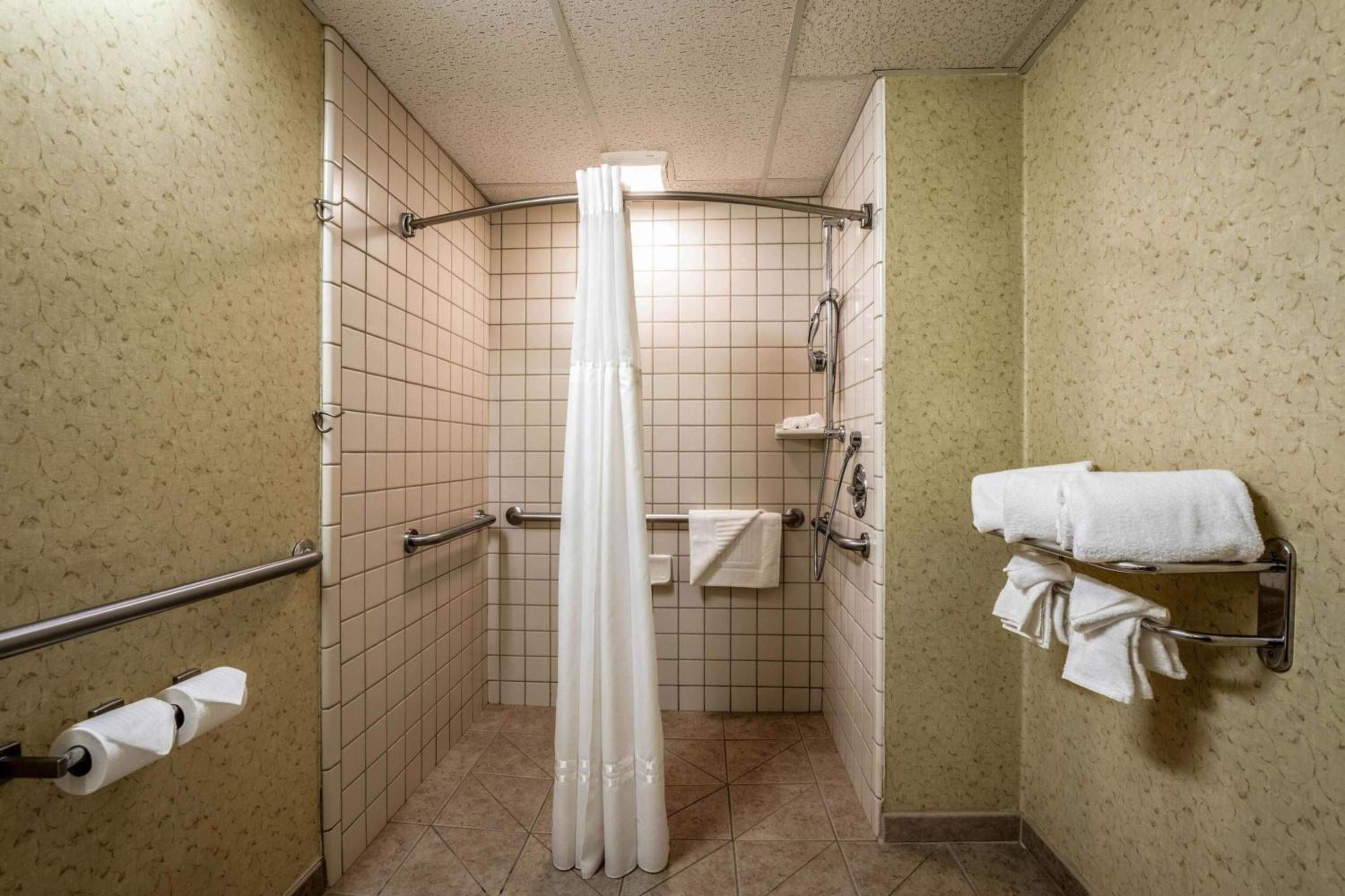 King Suite with Roll-In Shower - Accessible/Non-Smoking photo 2