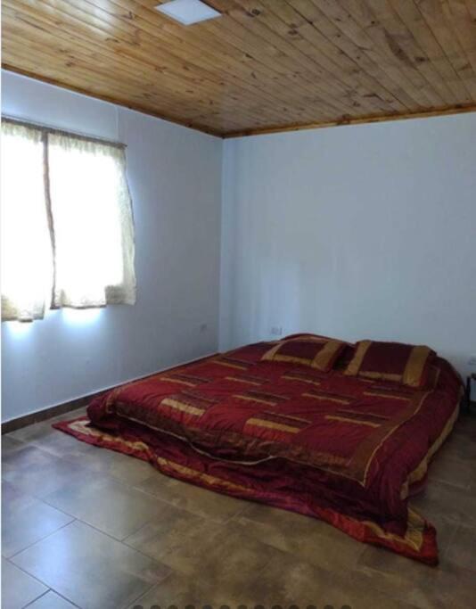 One-Bedroom House photo 1