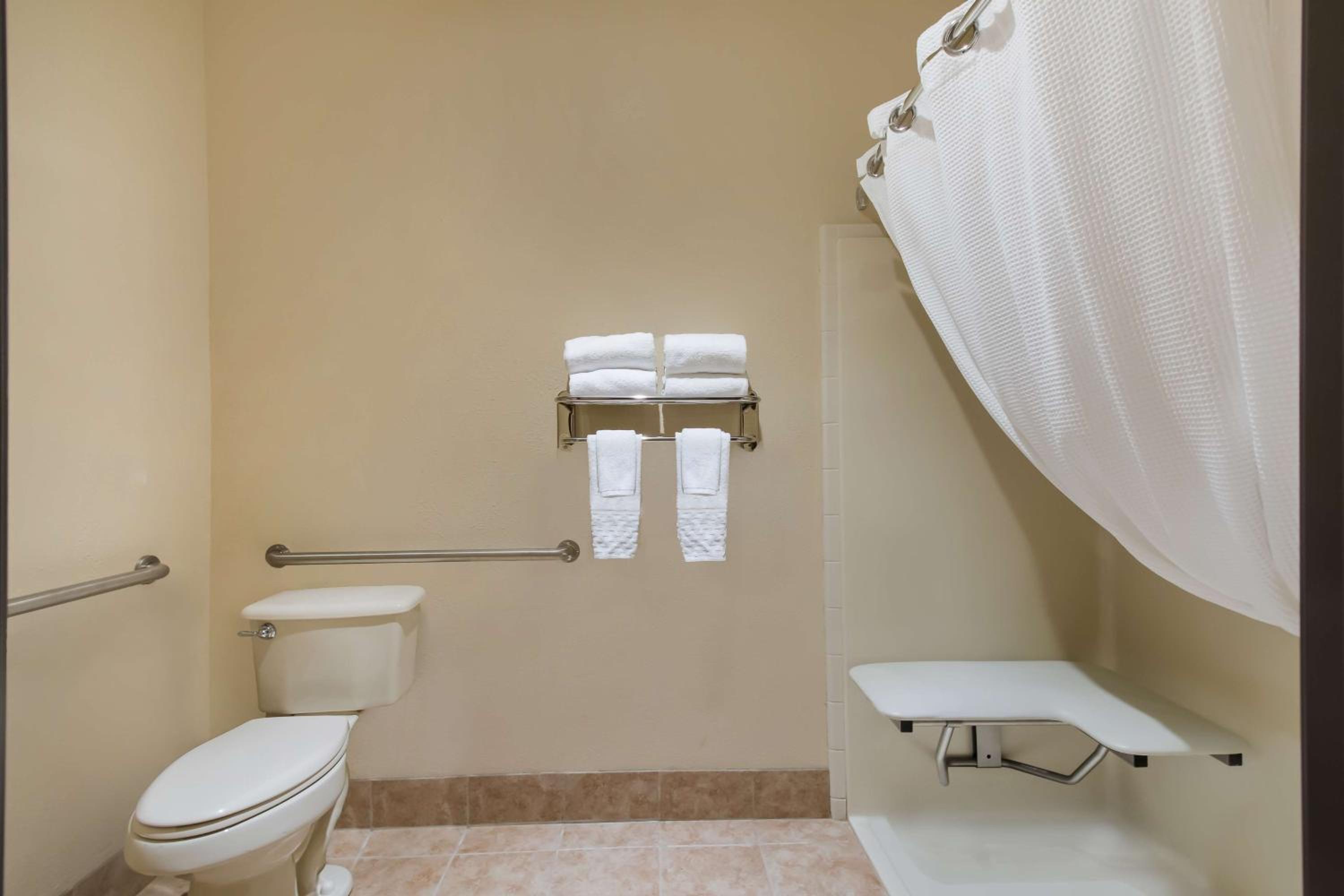 King Room with Roll In Shower-Disability Access photo 3