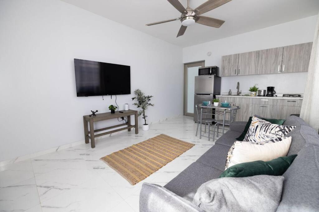 One-Bedroom Apartment photo 3