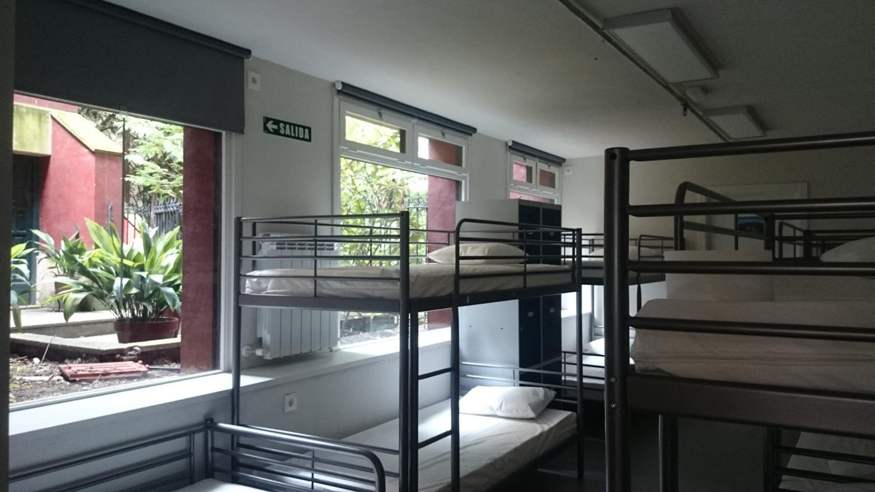 Bed in 10-Bed Mixed Dormitory Room
