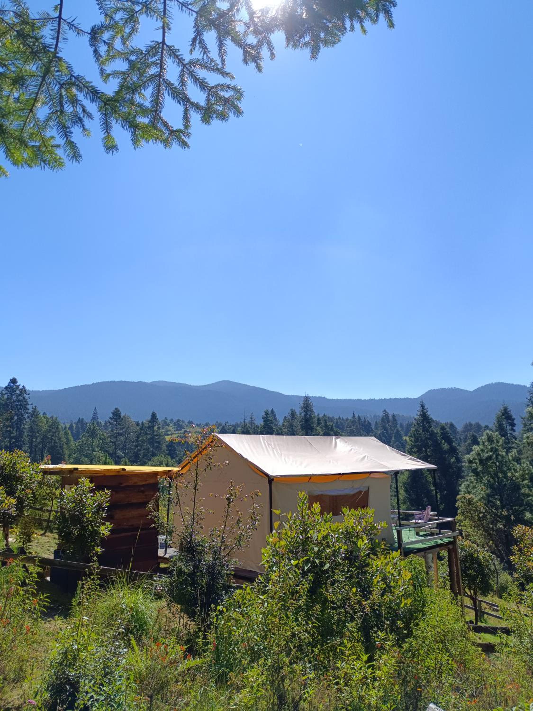 Glamping With Terrace photo 2