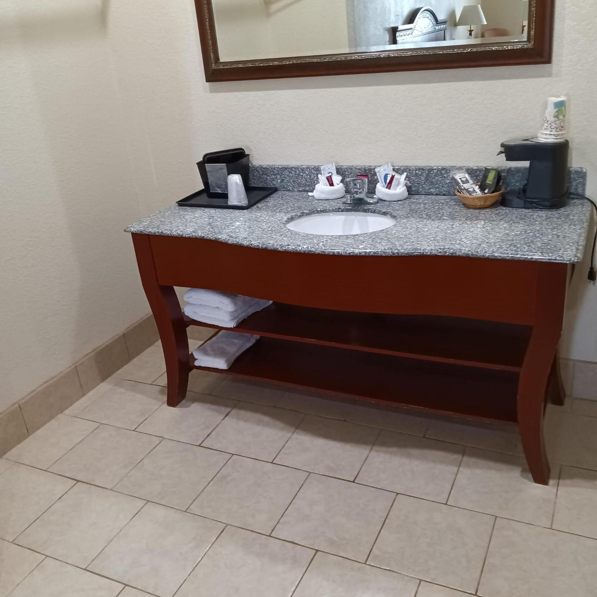 Deluxe King Suite photo 2