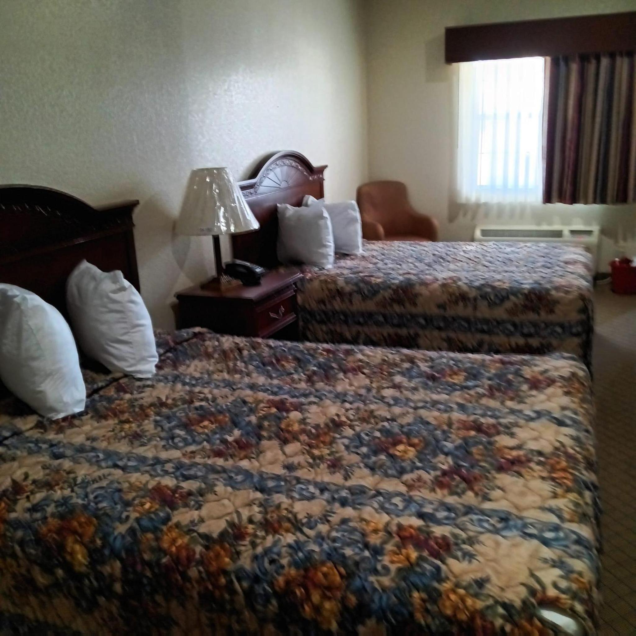 Standard Double Room photo 3