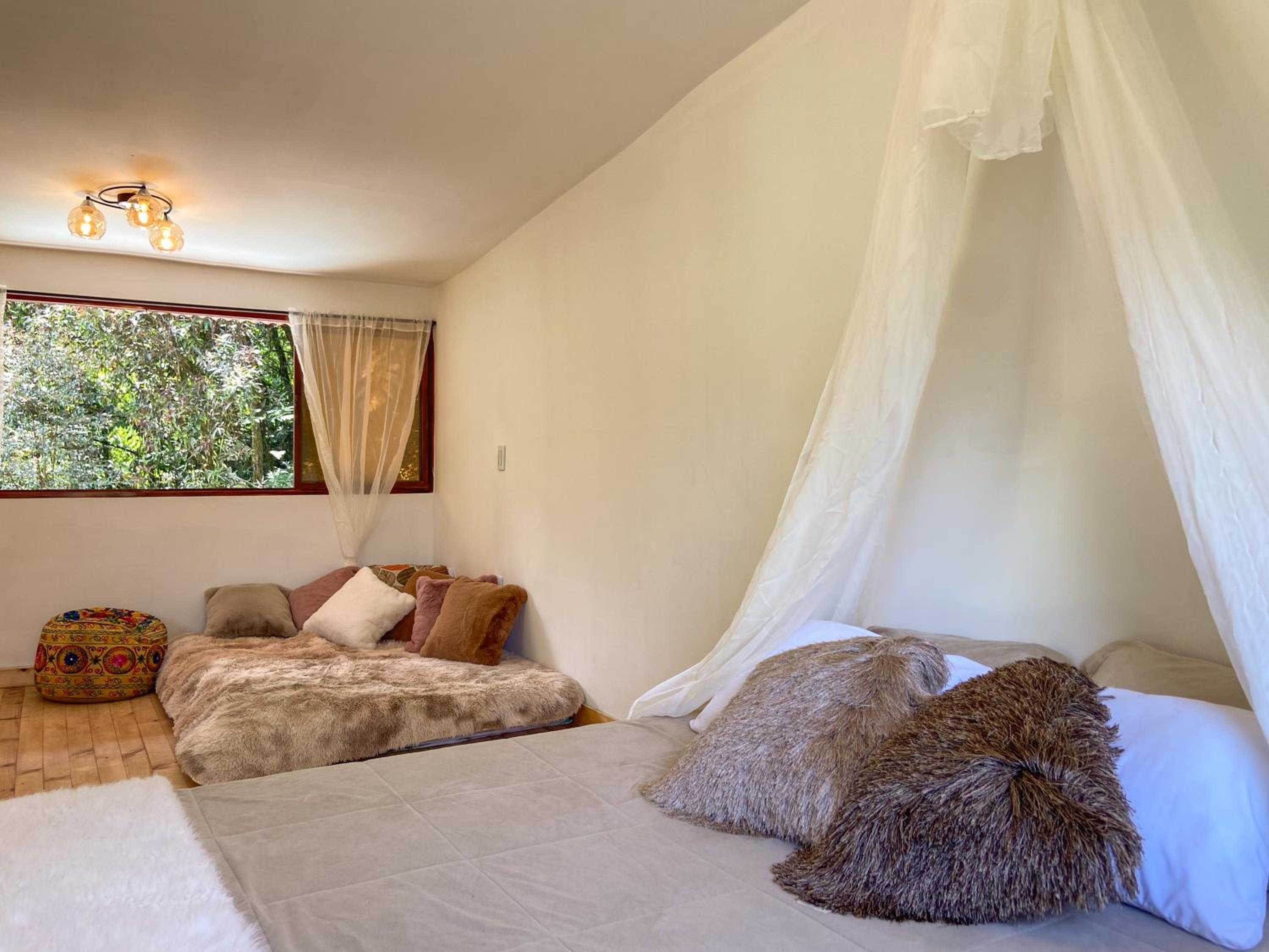 One-Bedroom House photo 3