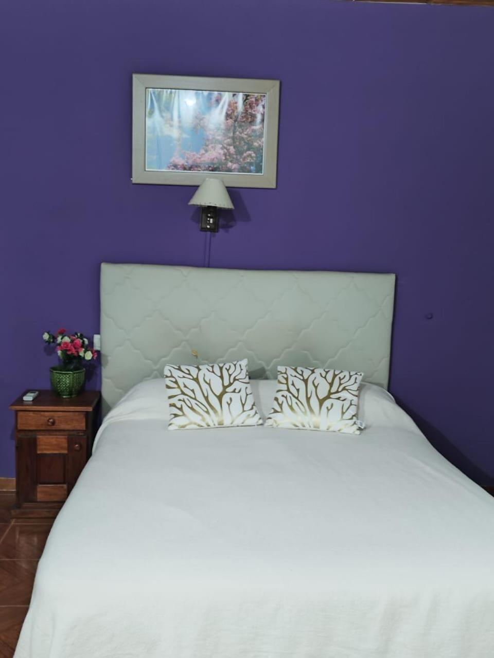 Deluxe Bungalow photo 1