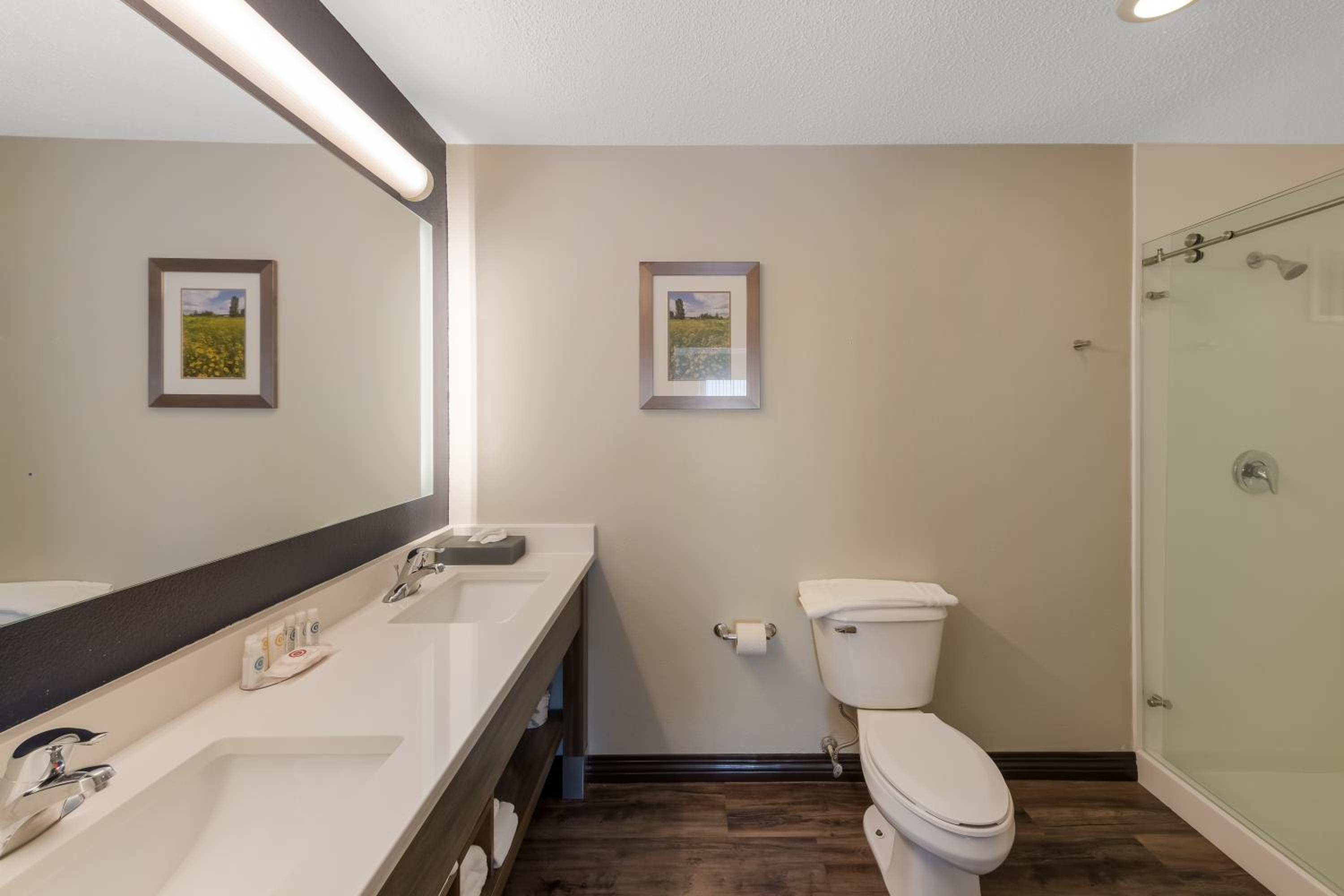 King Suite - Non Smoking - Photo 3