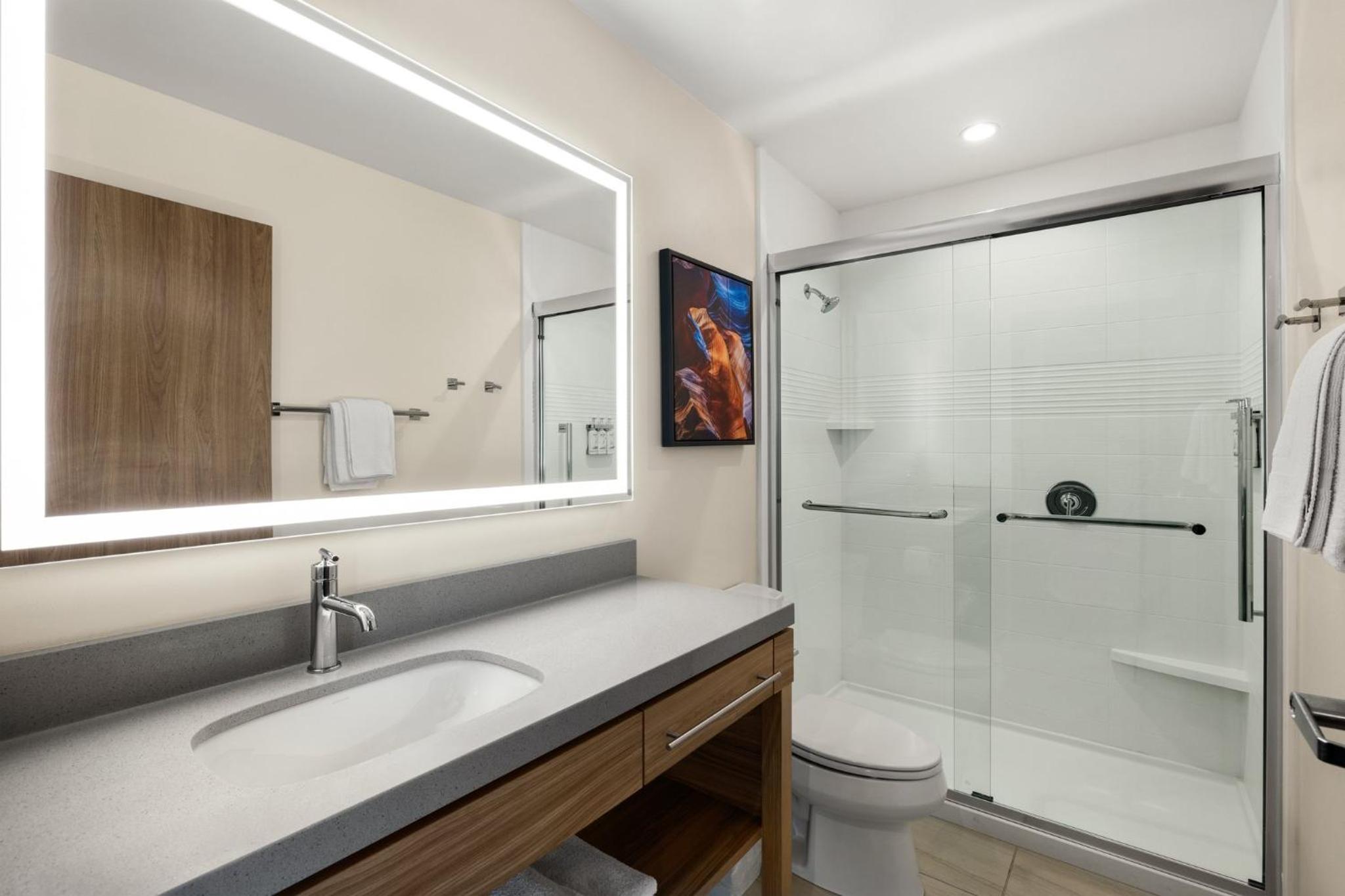 King Studio Suite - Photo 12