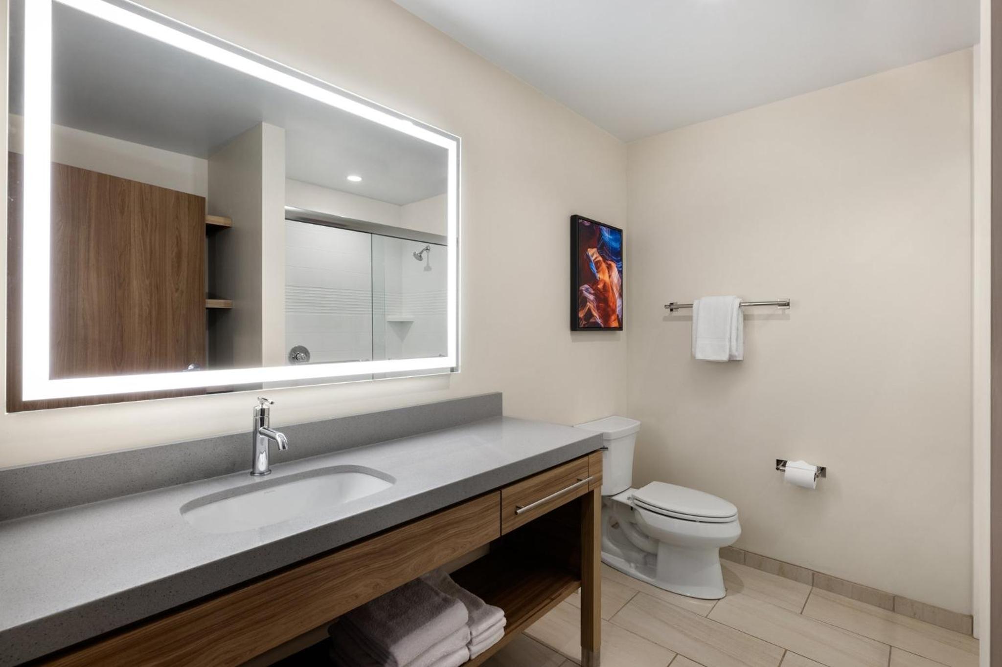 One-Bedroom King Suite - Photo 5
