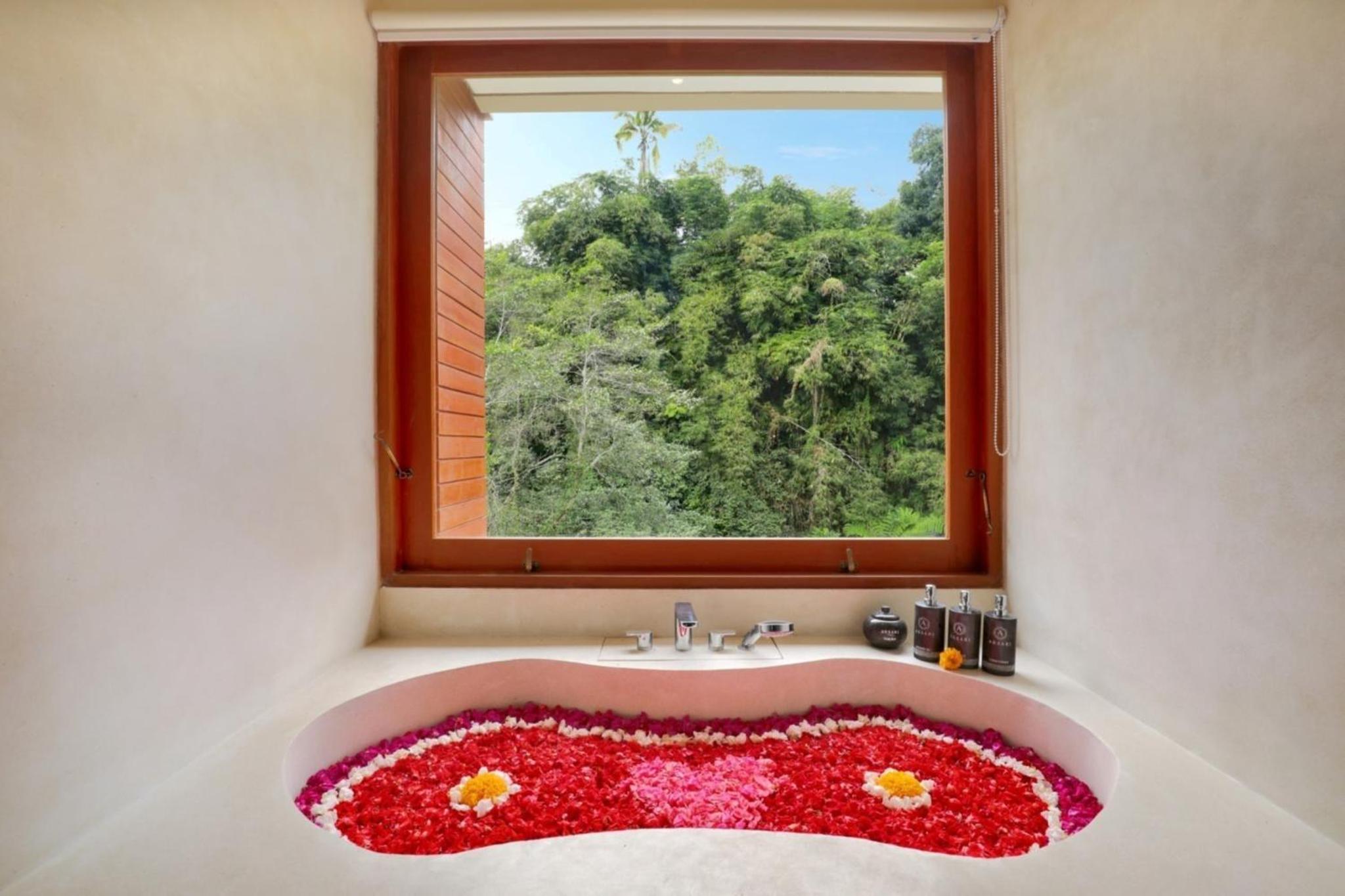 Suite with Forest View - Photo 4