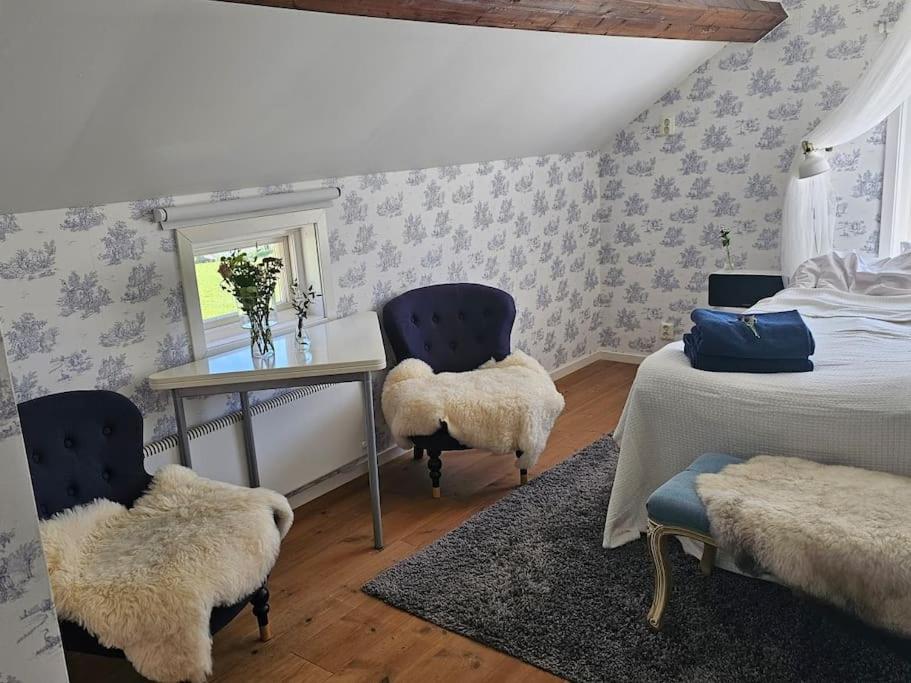 One-Bedroom House photo 1