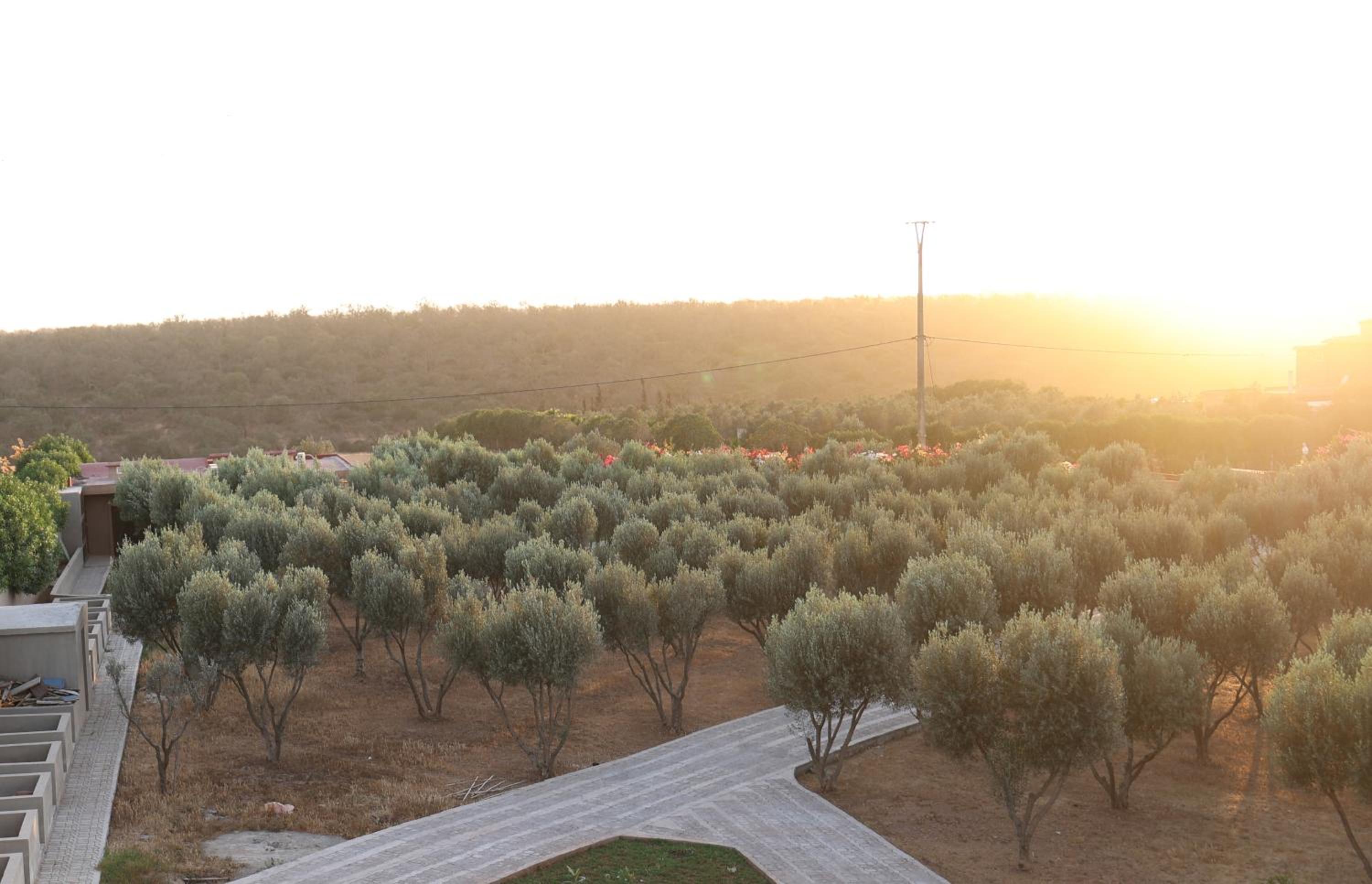 Villa with Garden View photo 2