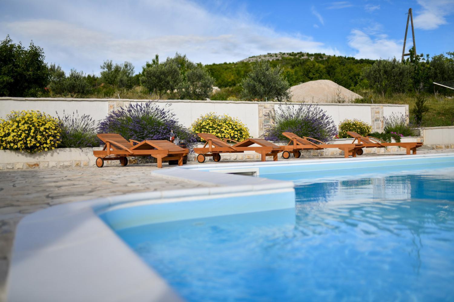 Five-Bedroom Villa photo 3