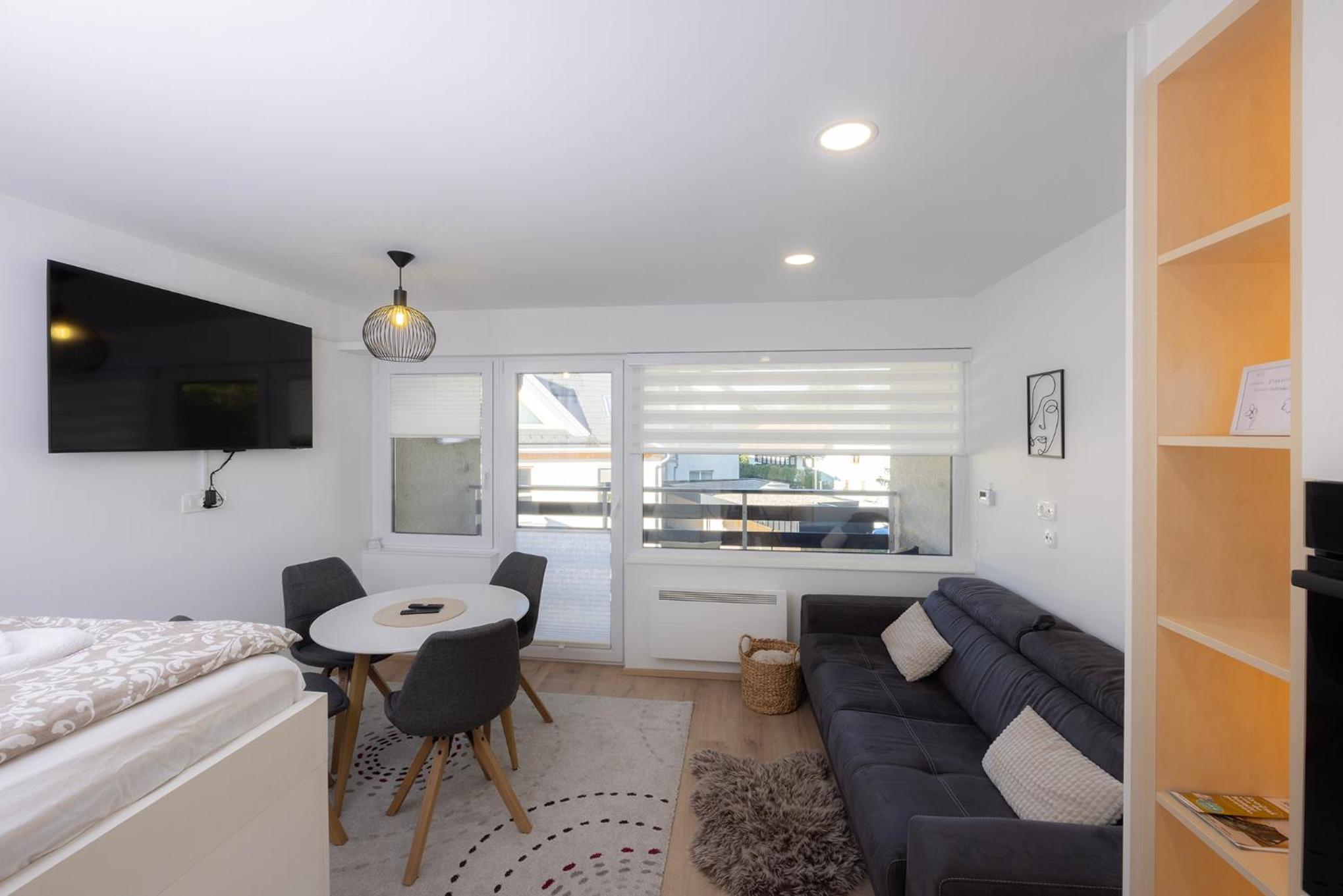 Studio Apartment photo 1