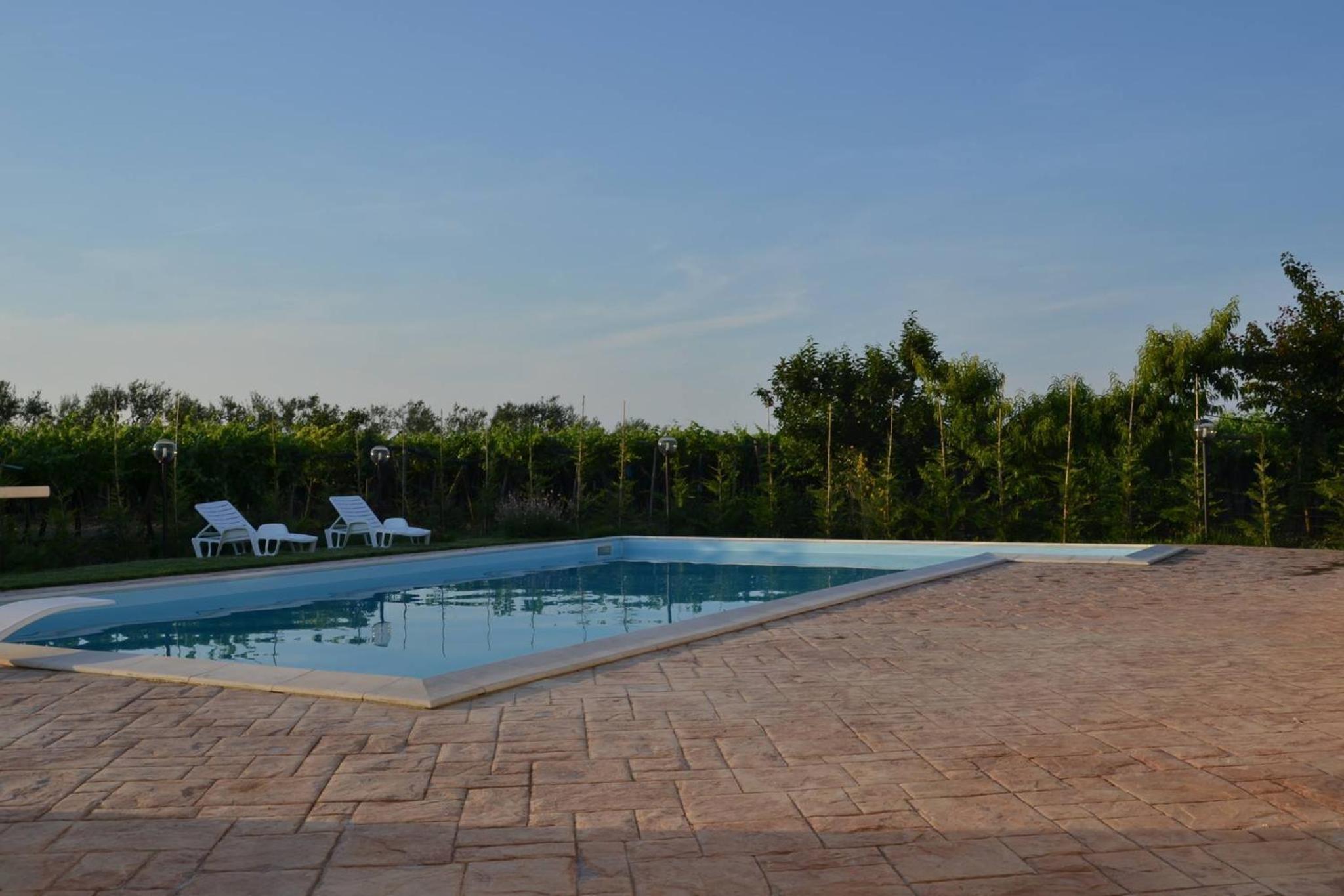 Queen Room with Pool View photo 3
