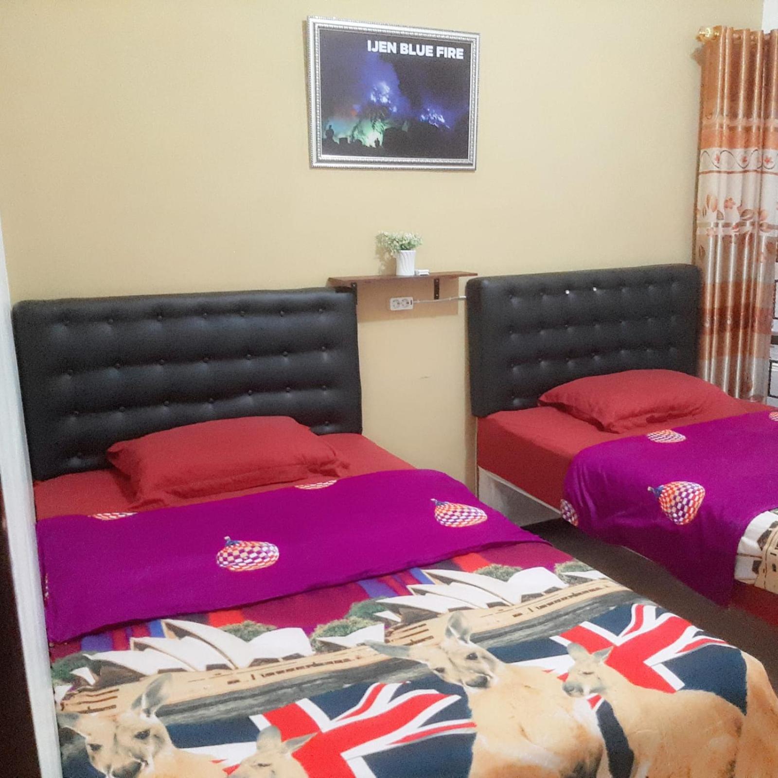 Standard Double Room photo 1