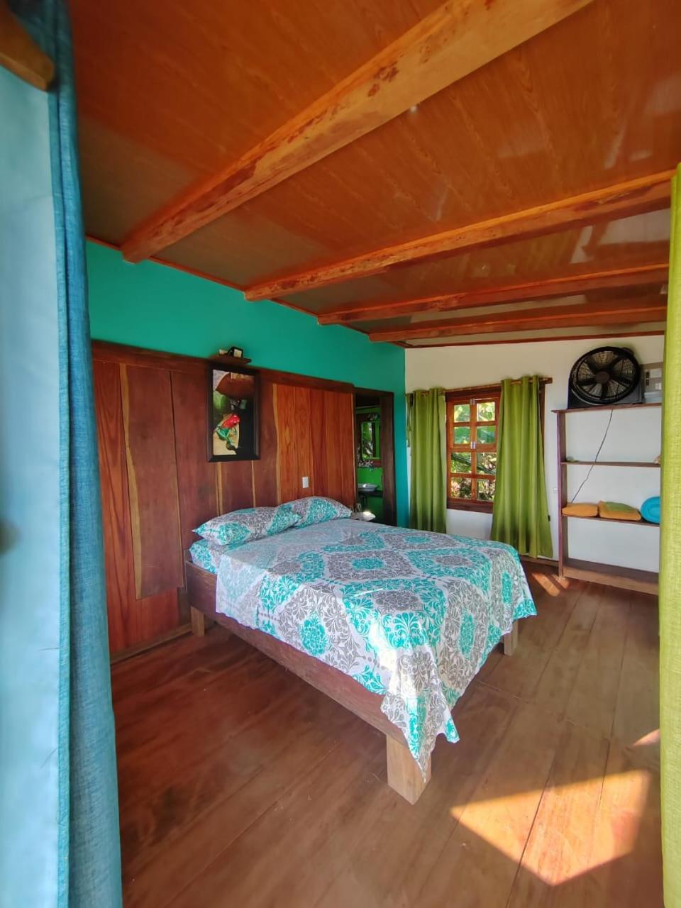 Standard Bungalow photo 1