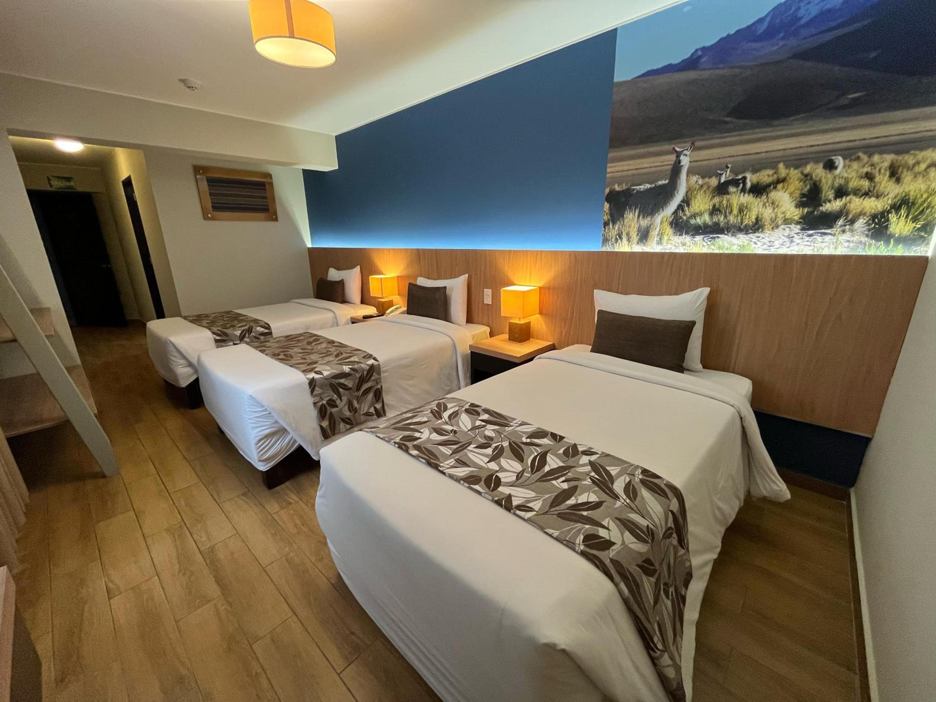 Triple Room photo 2