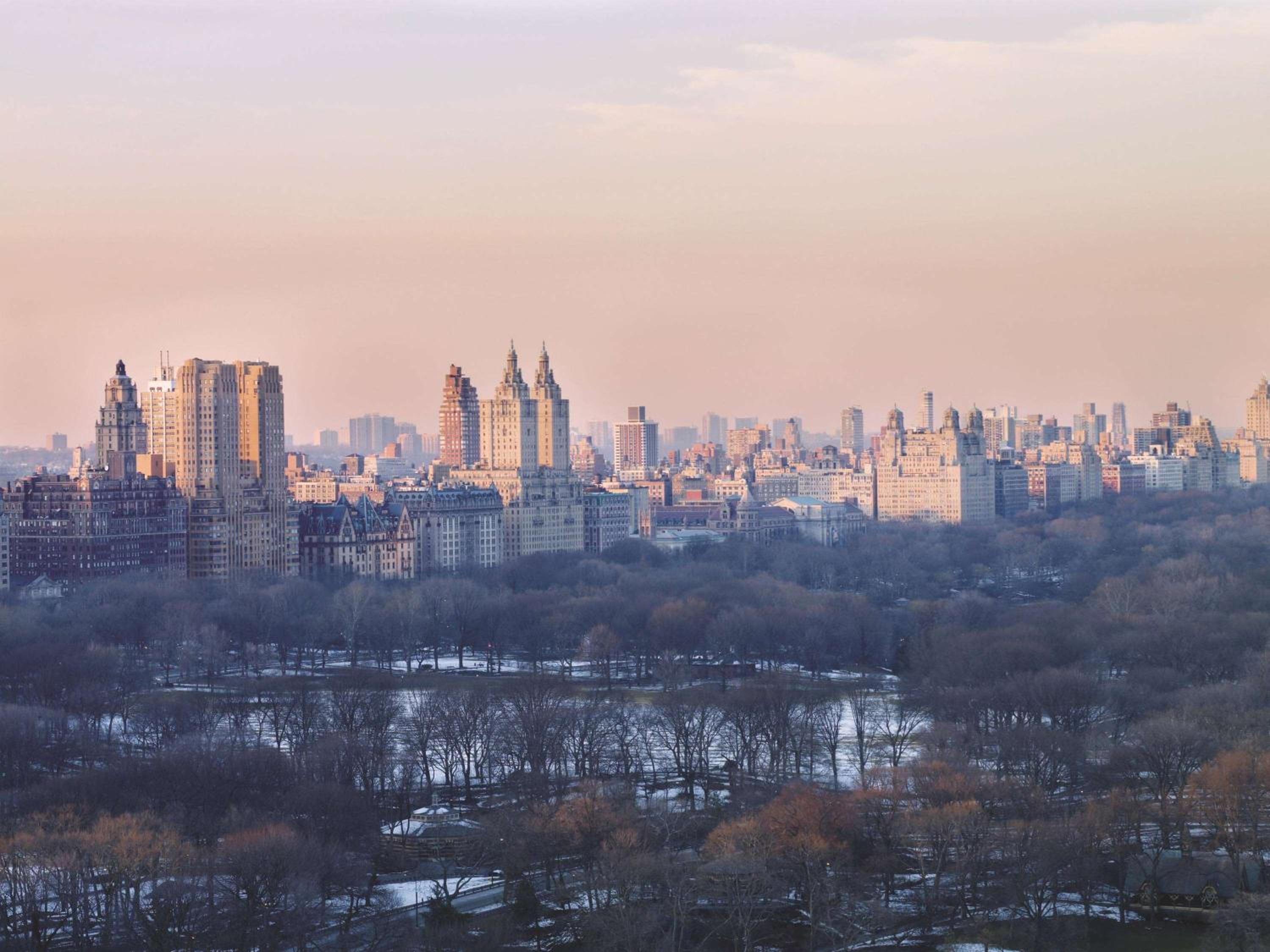 Grand Penthouse Two Bedroom Terrace Suite with Central Park View