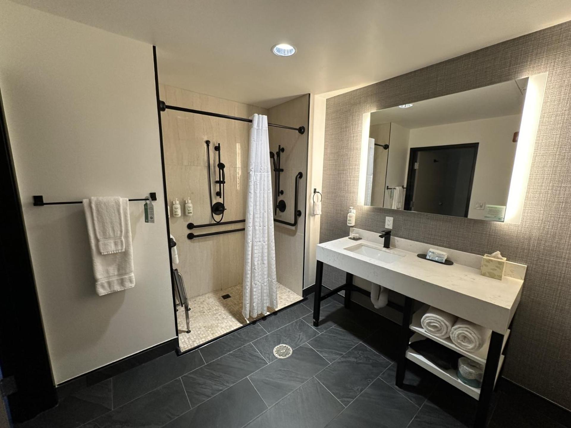 King Room with Mobility/Hearing Access and Roll-In Shower, Non-Smoking - Photo 3