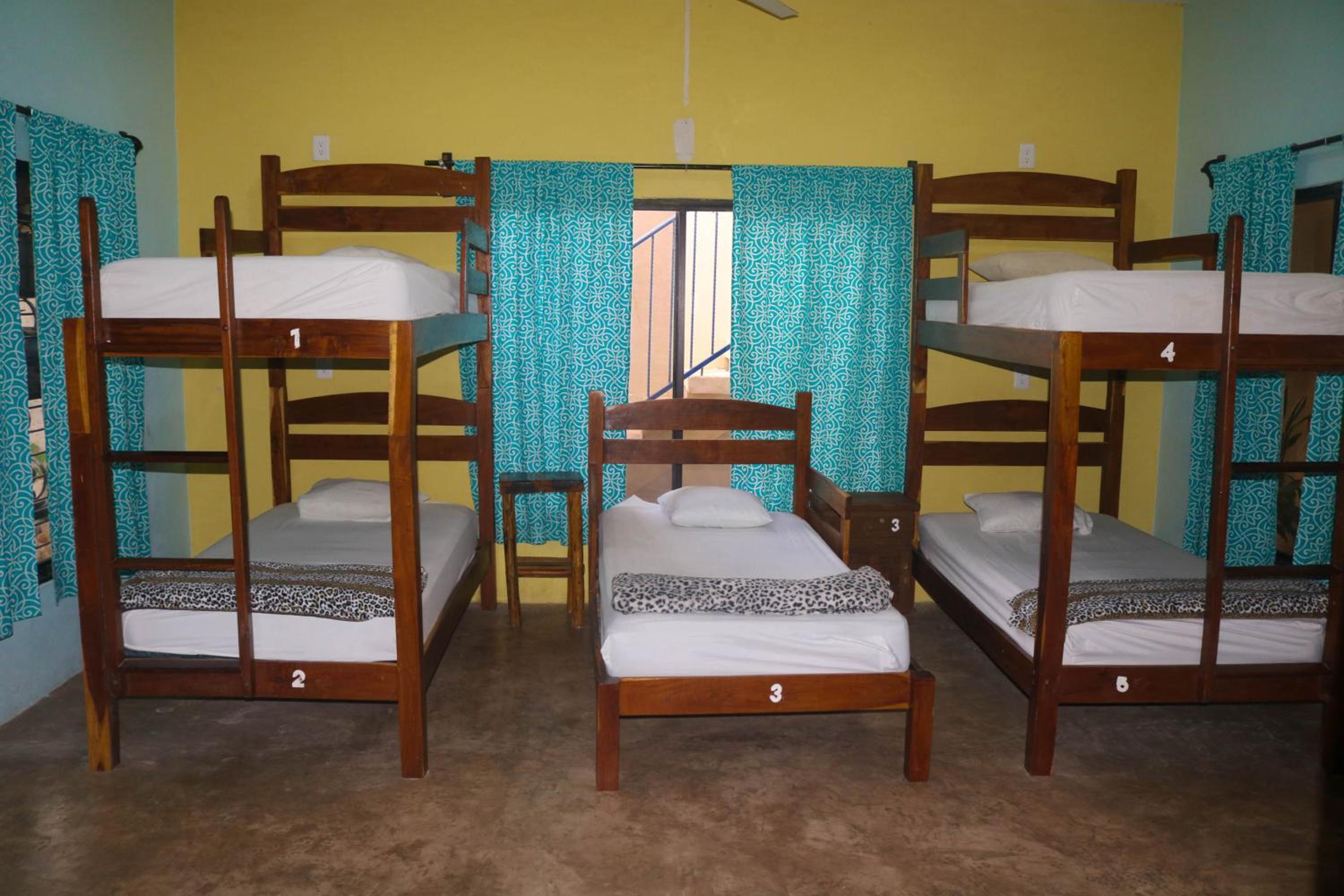 Mixed Dormitory Room photo 1
