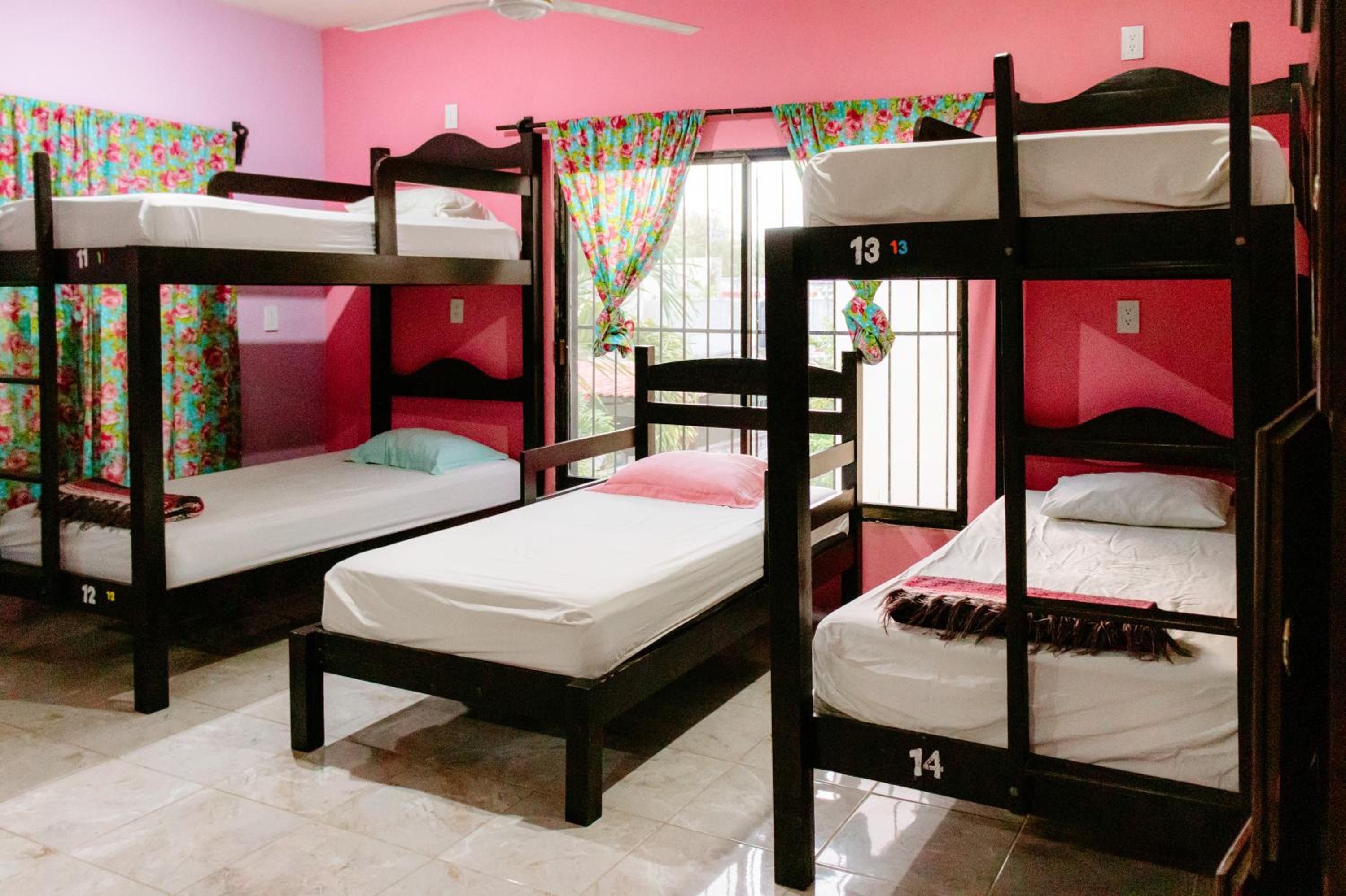 Female Dormitory Room photo 1