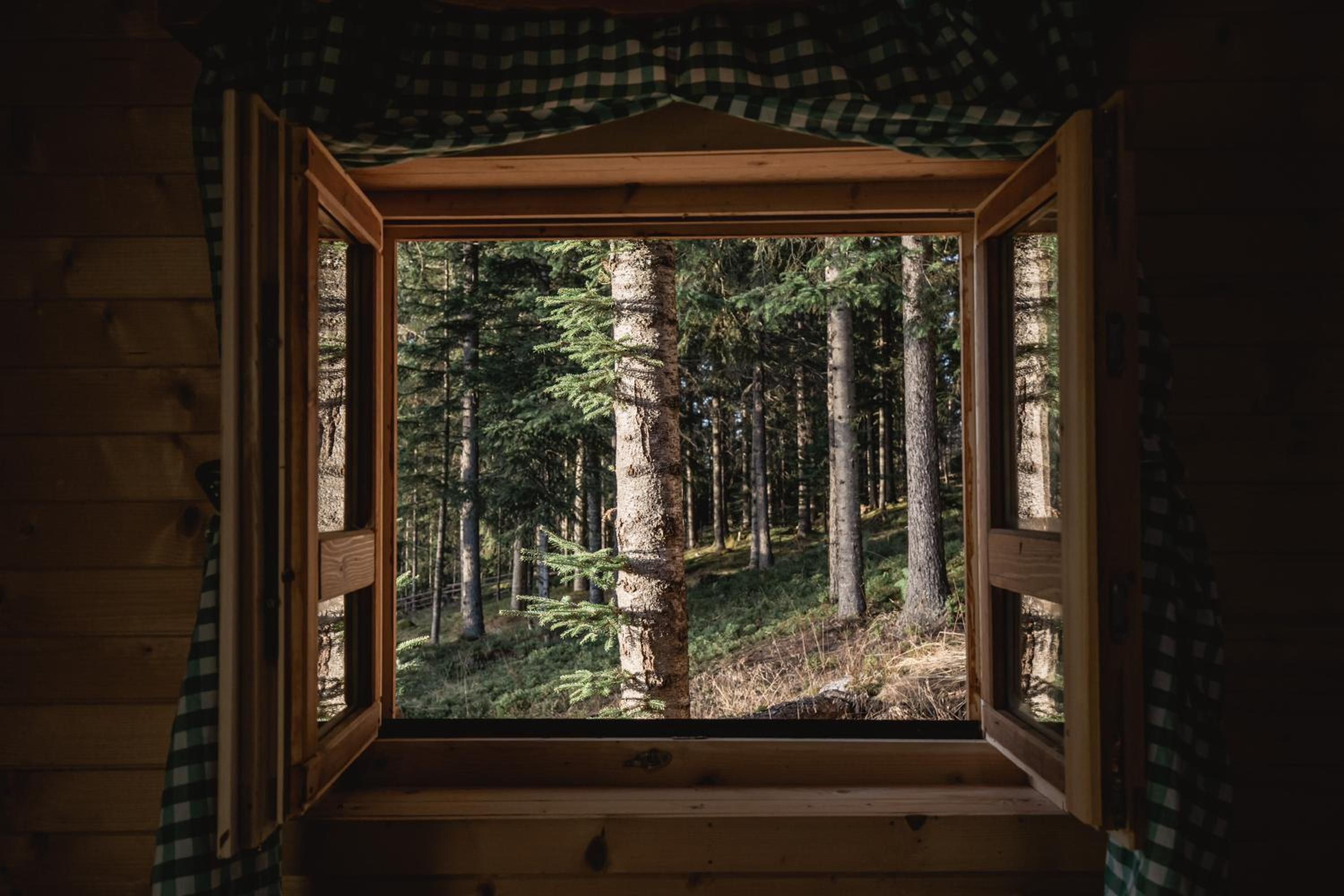 Chalet - Photo 3