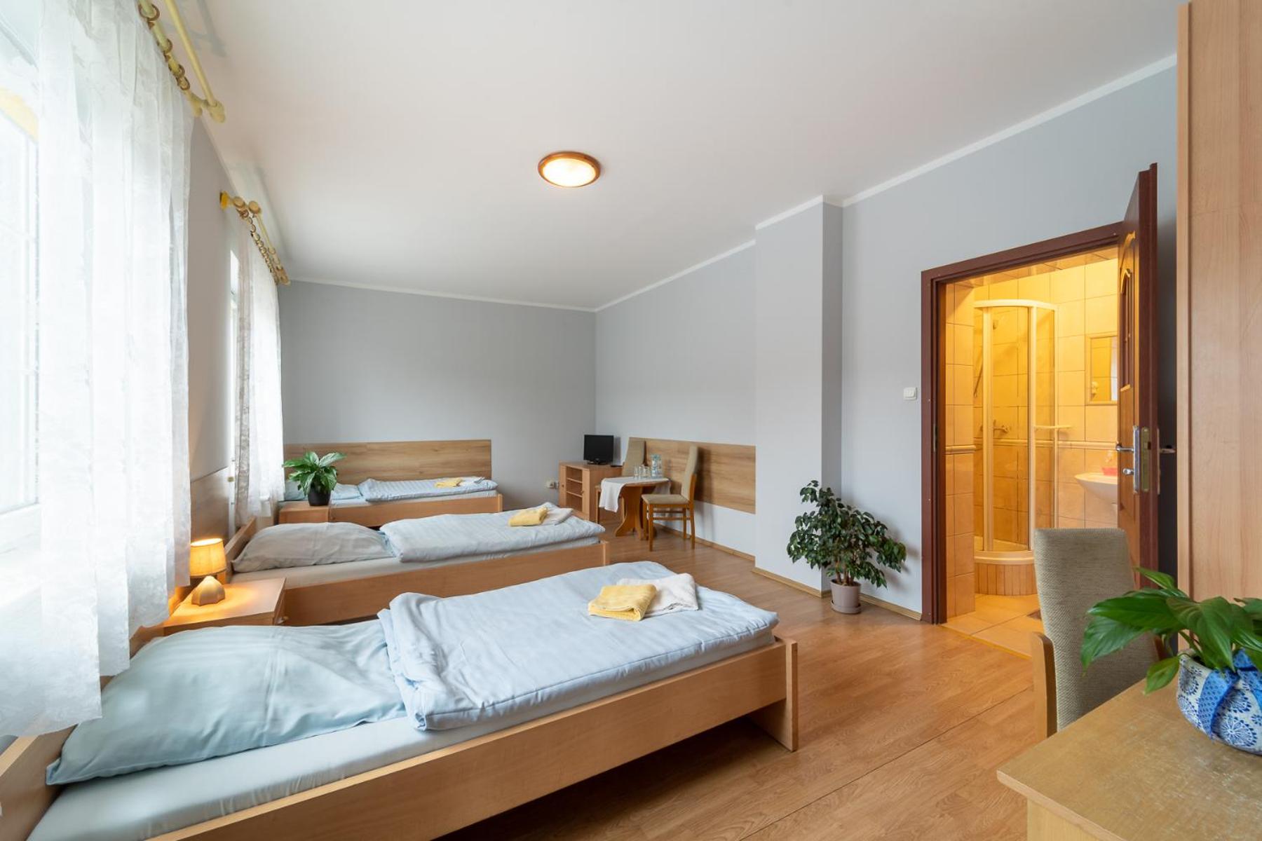 Comfort Triple Room with Shower - Photo 1