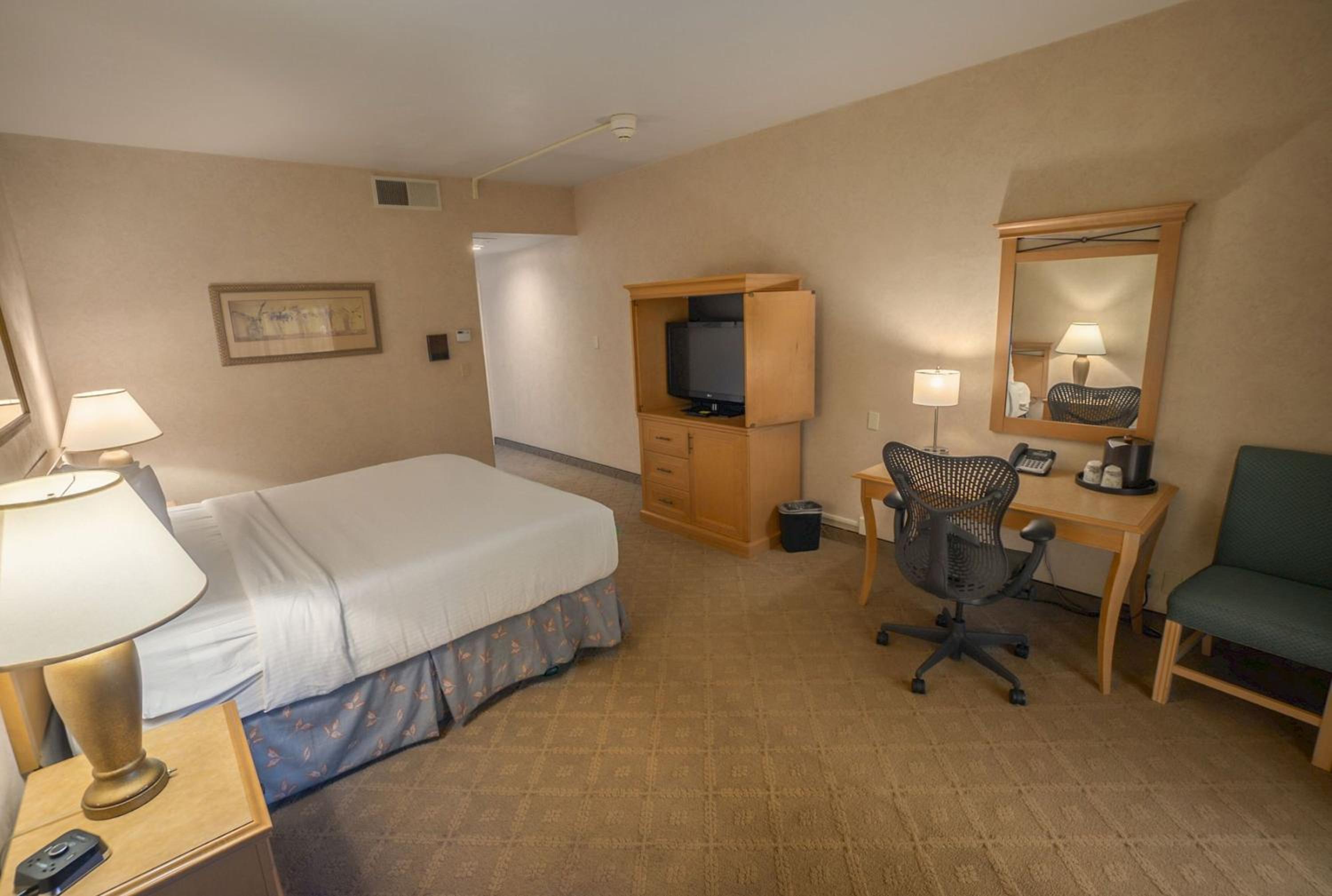 Suite photo 1