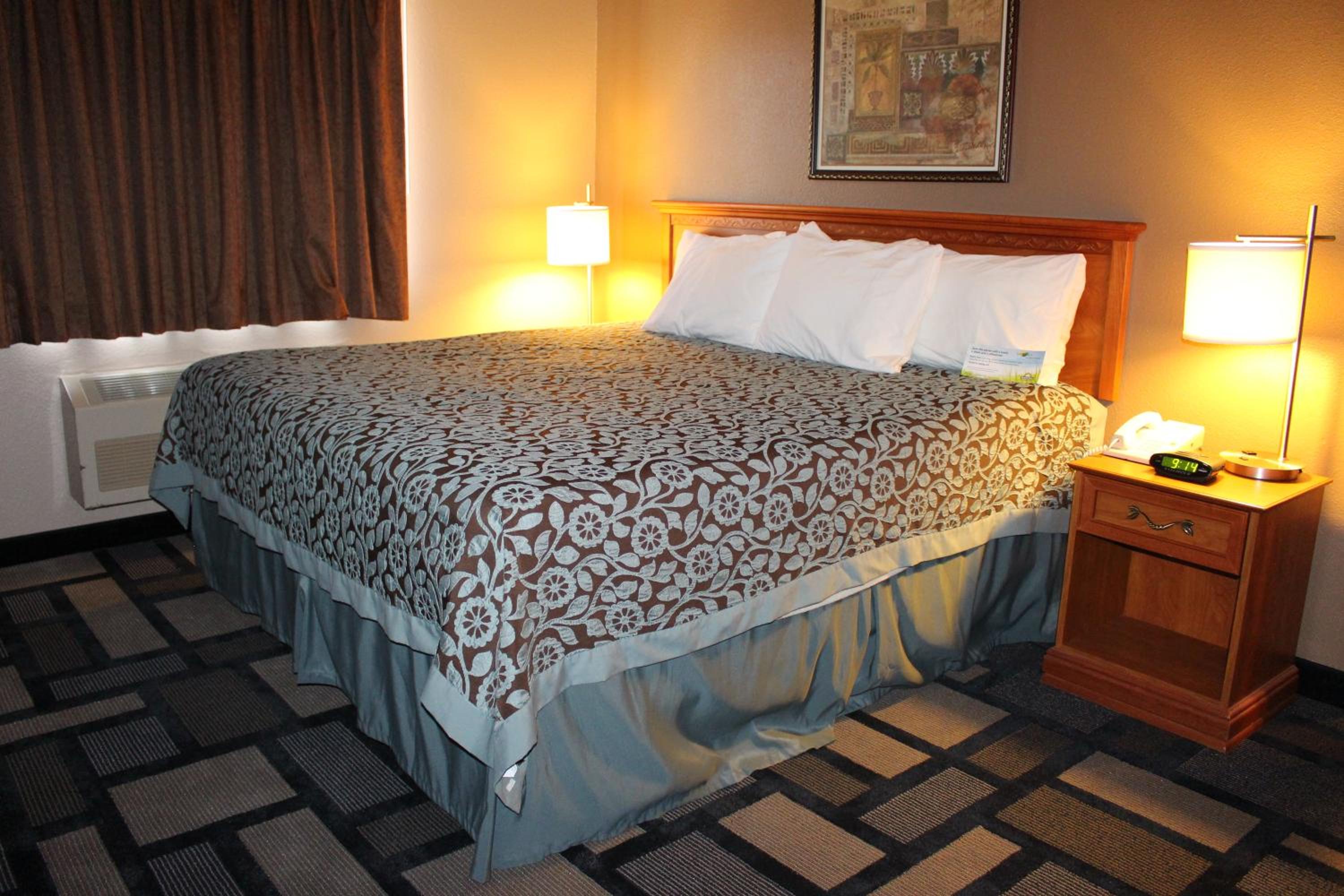 One-Bedroom Suite with King bed, Non-Smoking photo 1