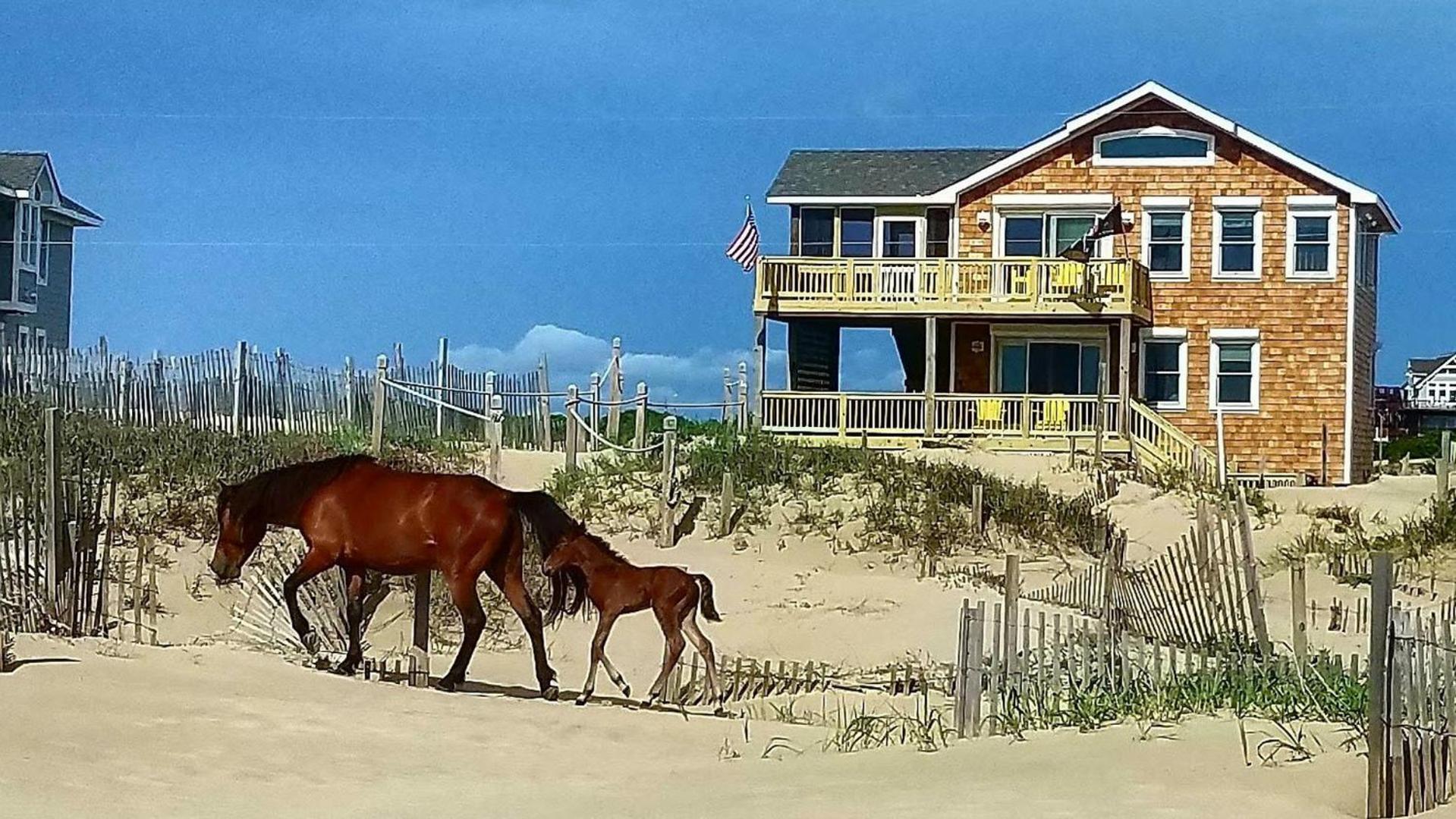 Vacation Home photo 2