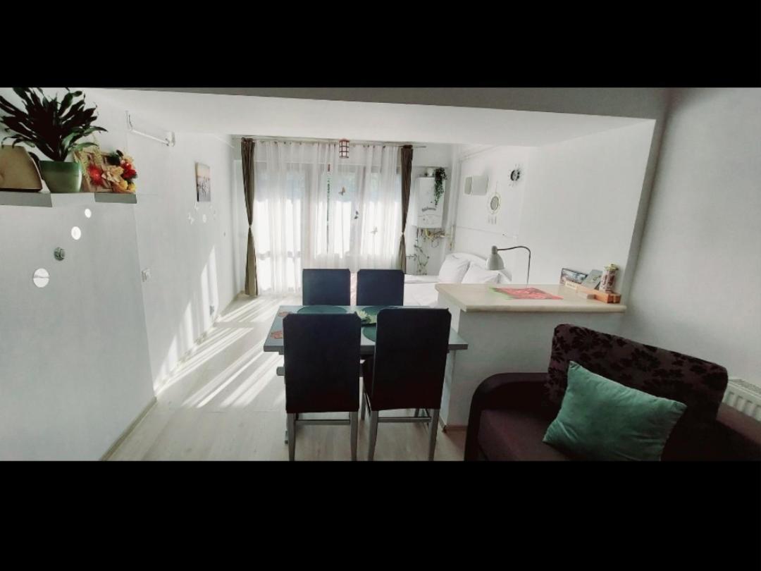 Studio Apartment photo 1