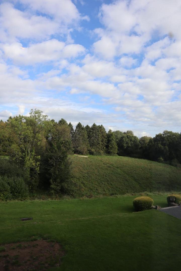 Deluxe Suite with Garden View - NO PETS - Photo 5