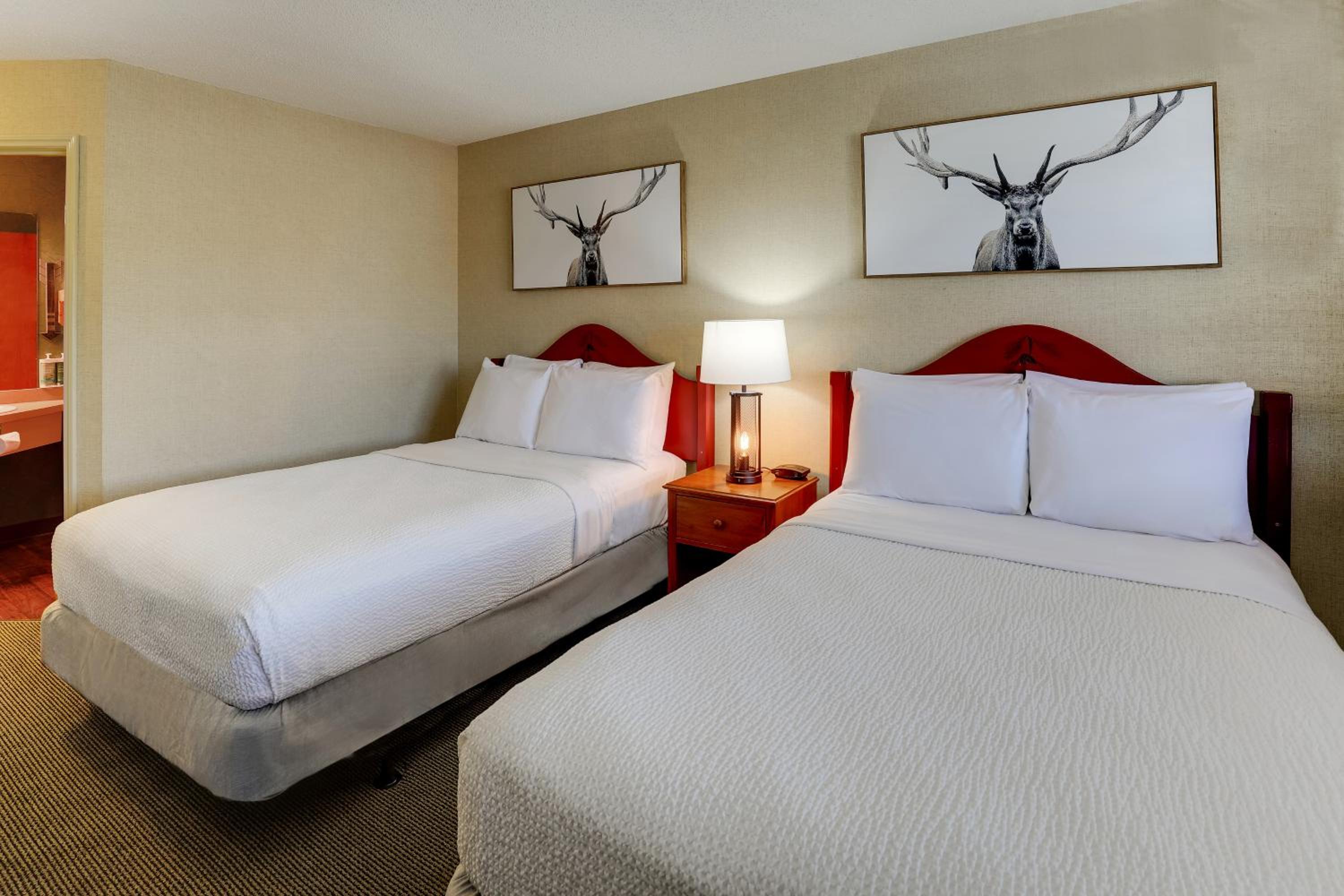 Deluxe Double Room with Two Double Beds - Photo 4